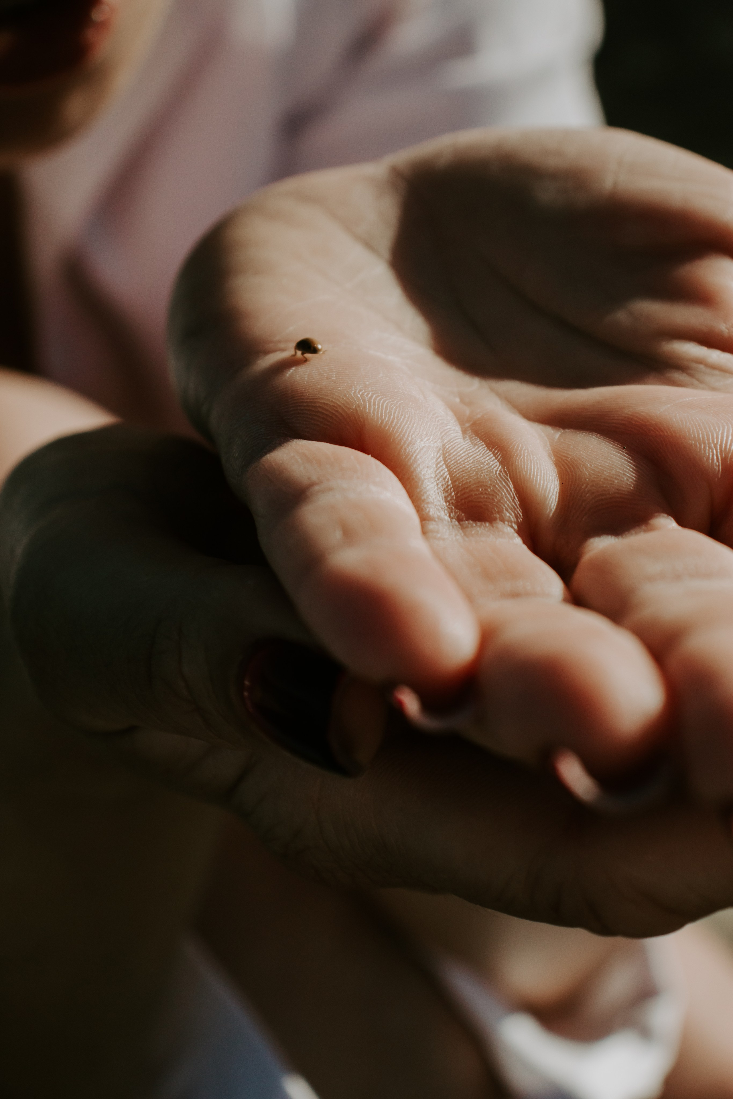 Фотосессия для Марины на Тургояке. Фотограф Александра Коновалова