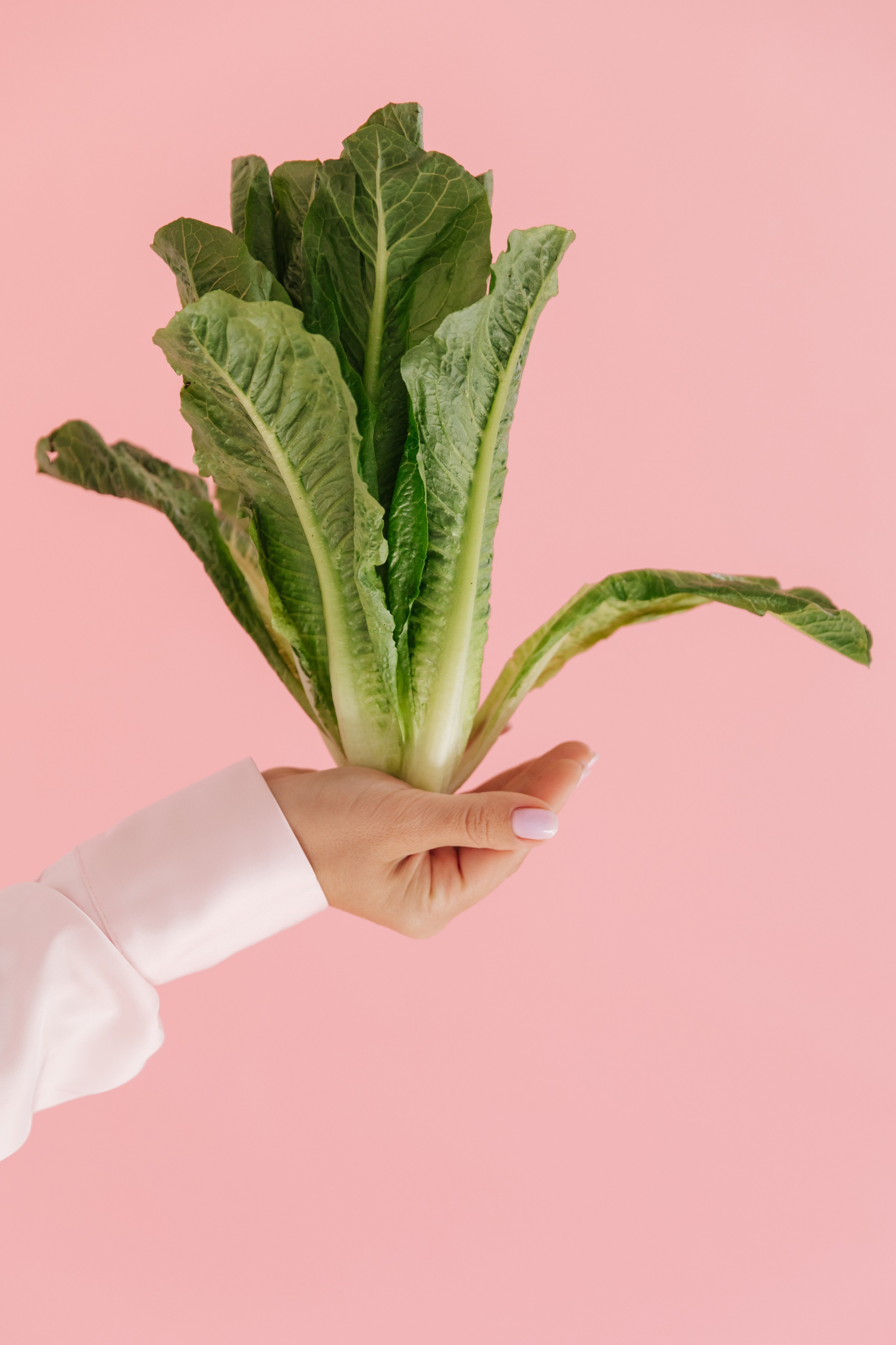 Марина нутрициолог. Свадебный и семейный фотограф Александра Кос