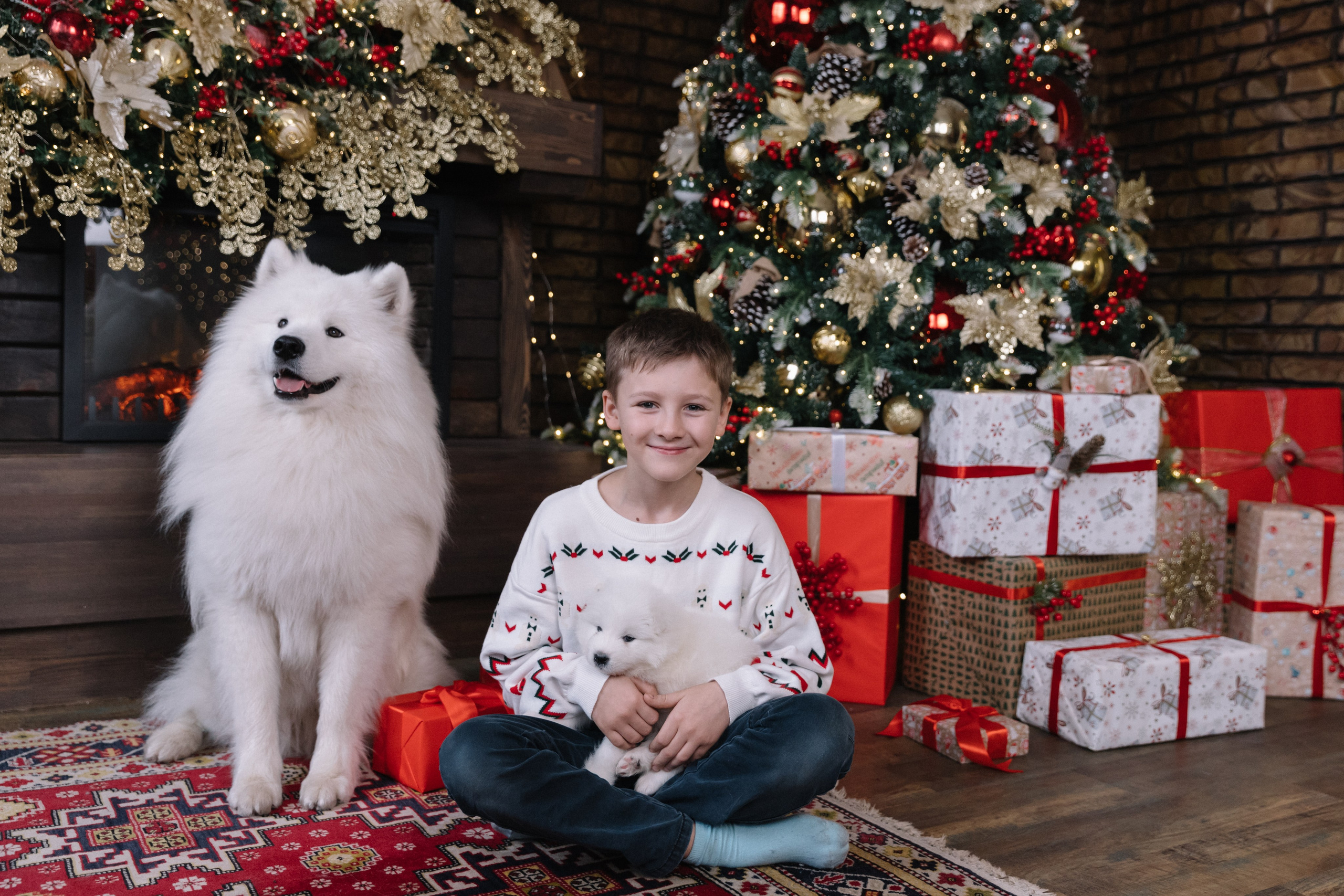 фотоссамоедами