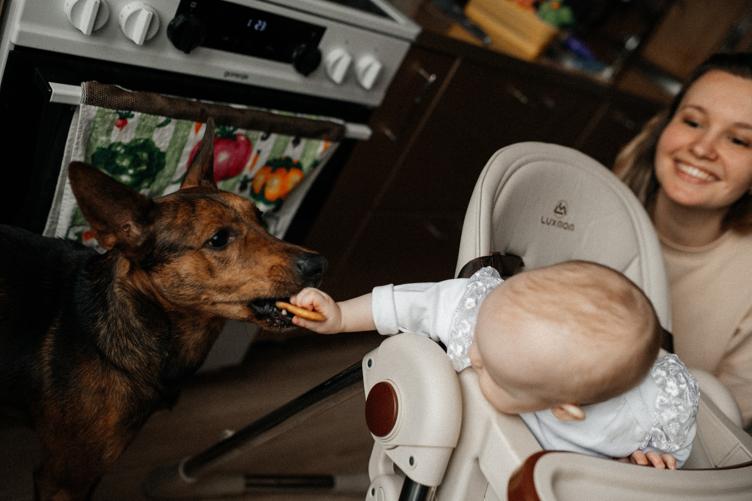 Аврора 8 мес. Фотограф г. Хабаровск