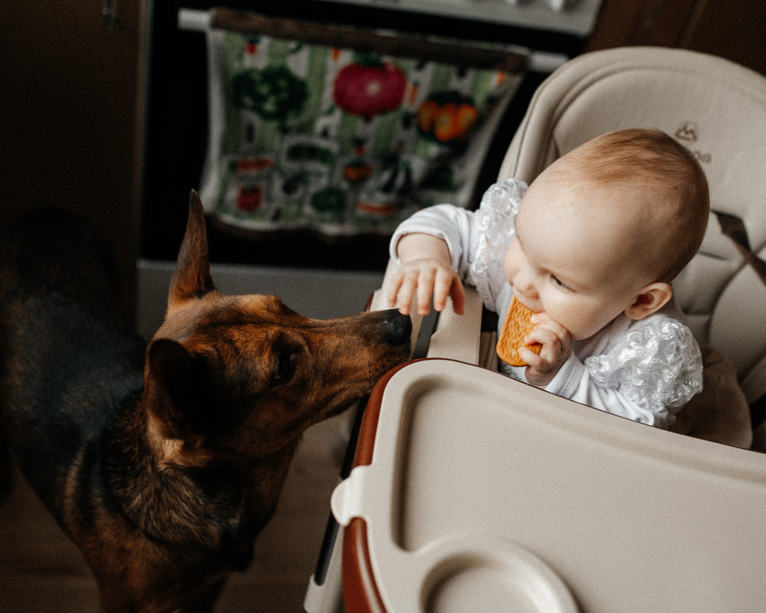 Аврора 8 мес. Фотограф г. Хабаровск