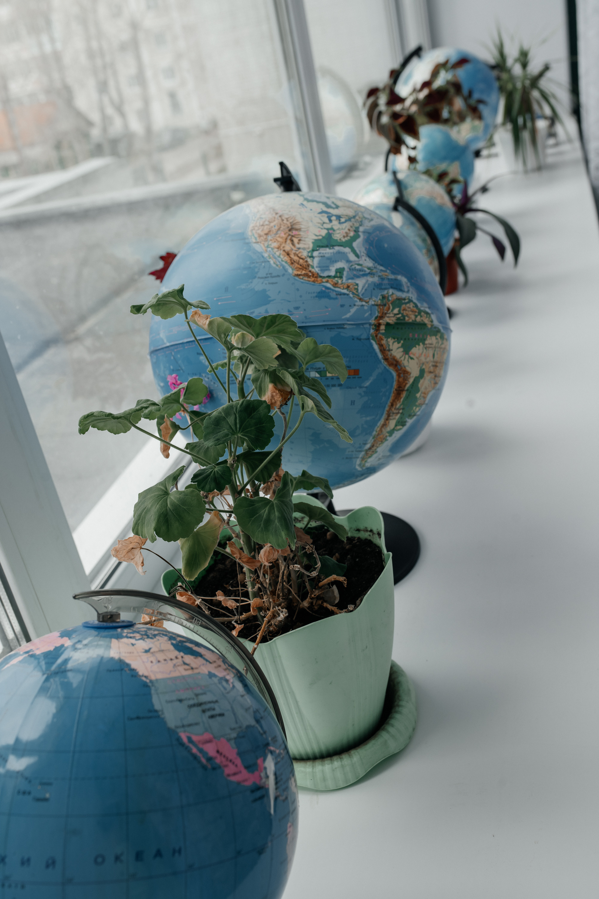 Контент-съемка для учителя. Фотограф г. Хабаровск