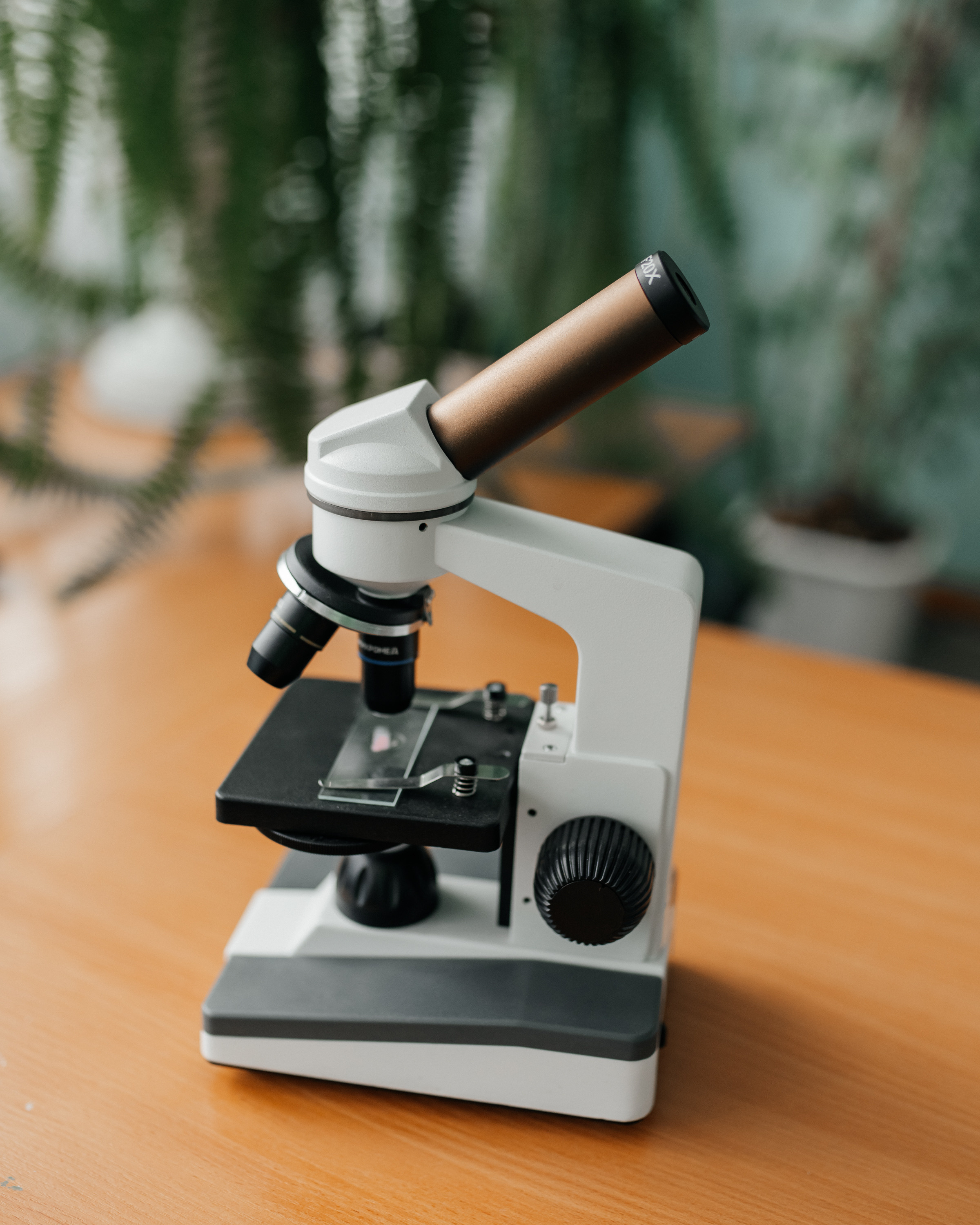 Контент-съемка для учителя. Фотограф г. Хабаровск