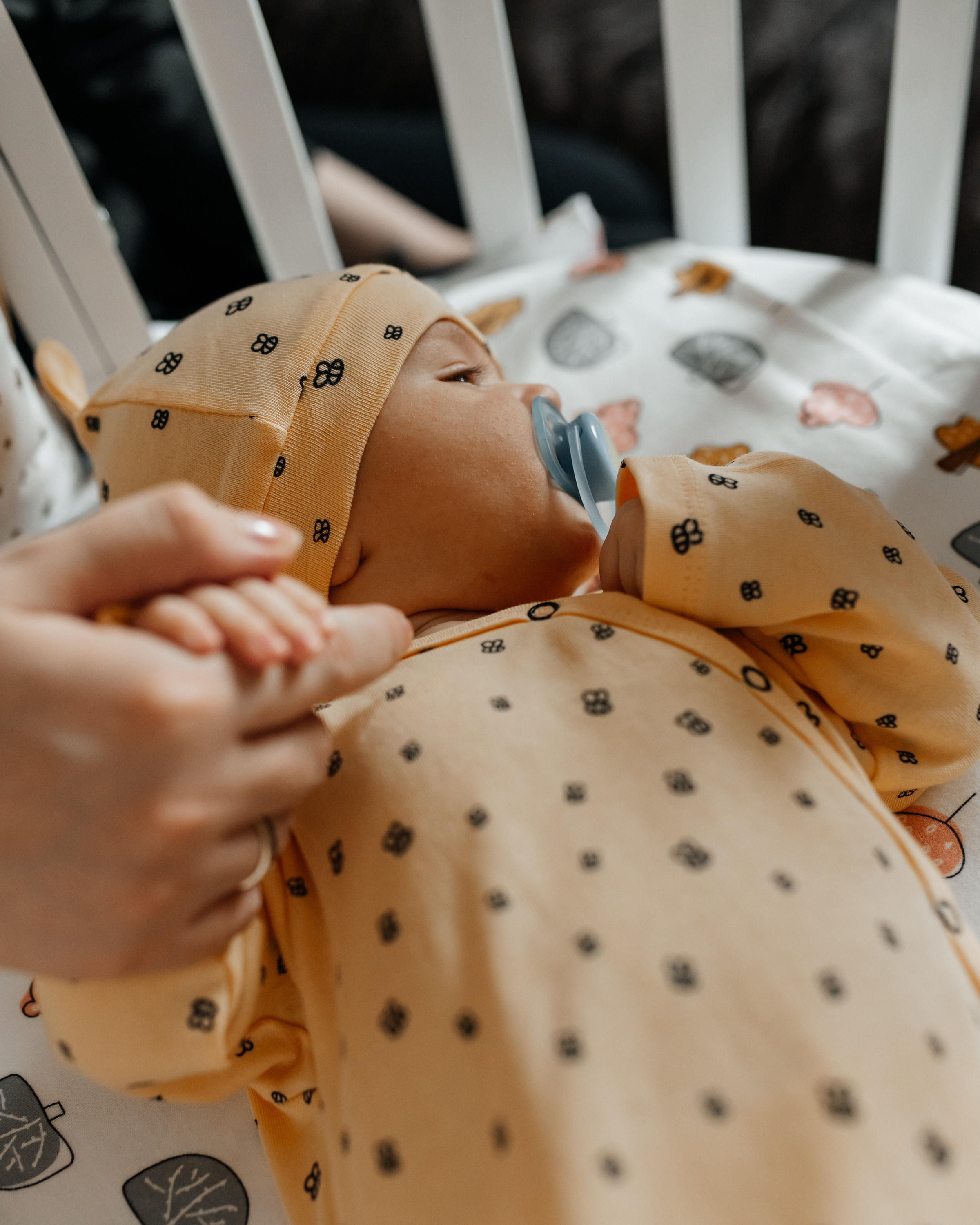 Агаша 2 мес. Фотограф г. Хабаровск