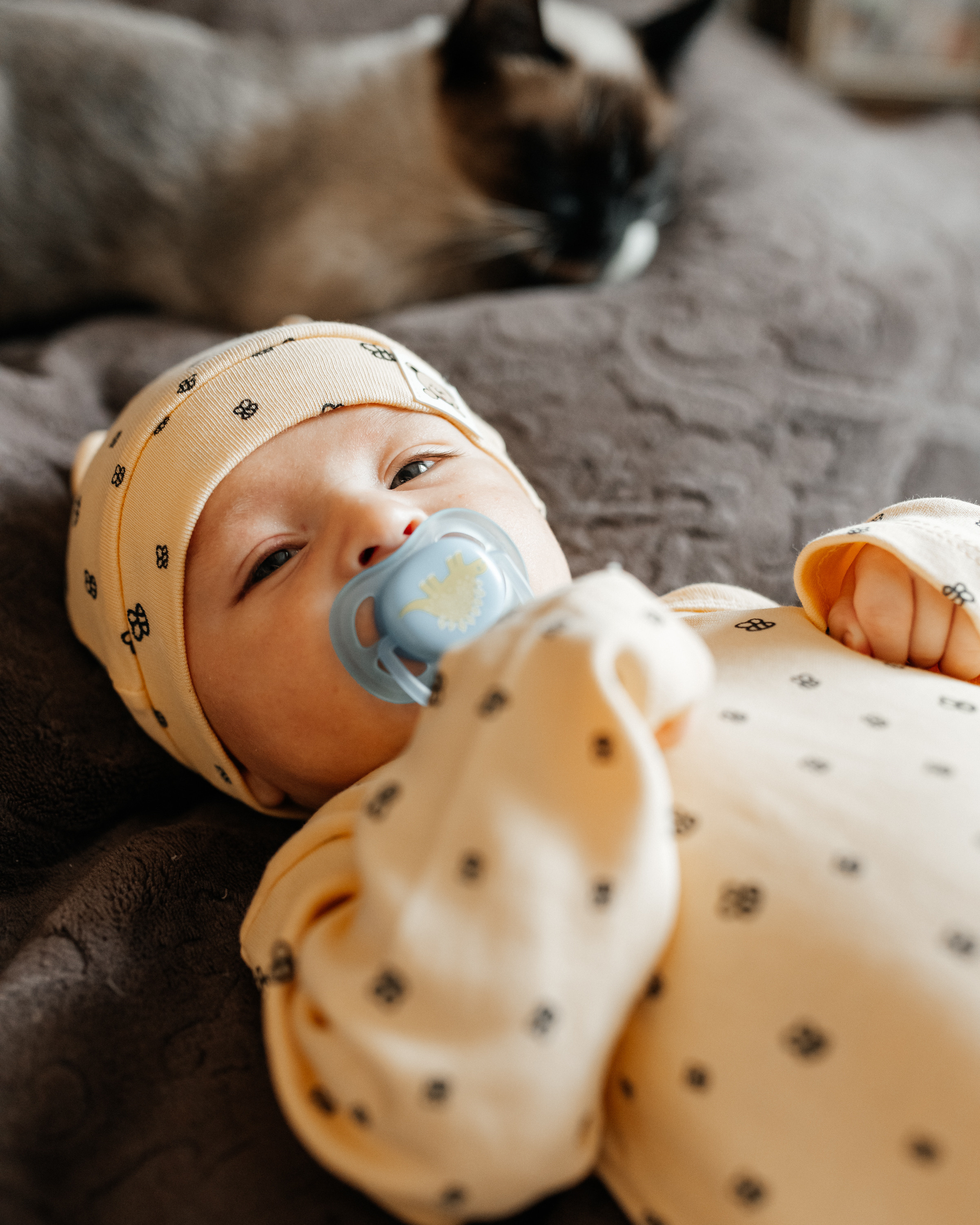 Агаша 2 мес. Фотограф г. Хабаровск