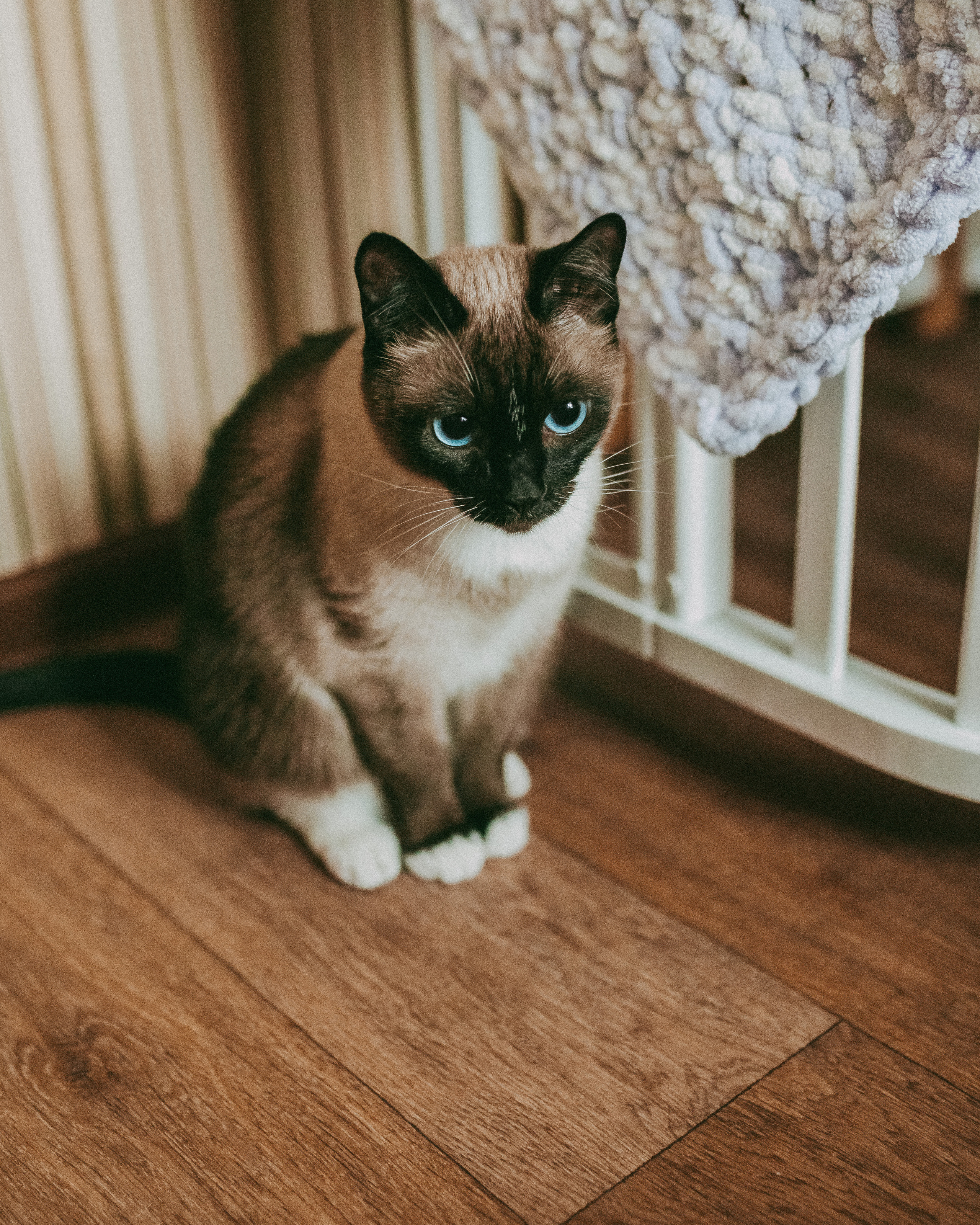 Агаша 1 мес. Фотограф г. Хабаровск