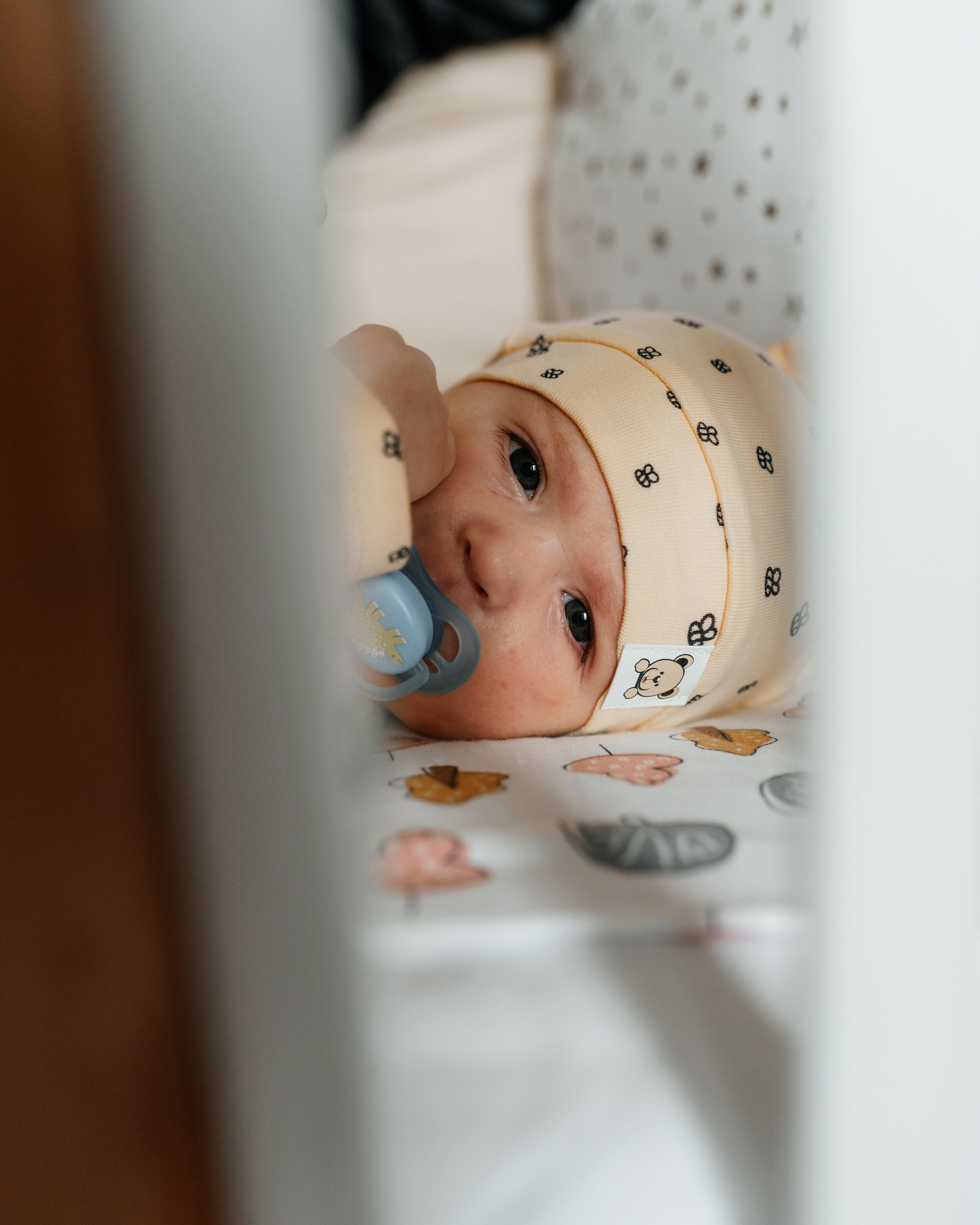 Агаша 2 мес. Фотограф г. Хабаровск