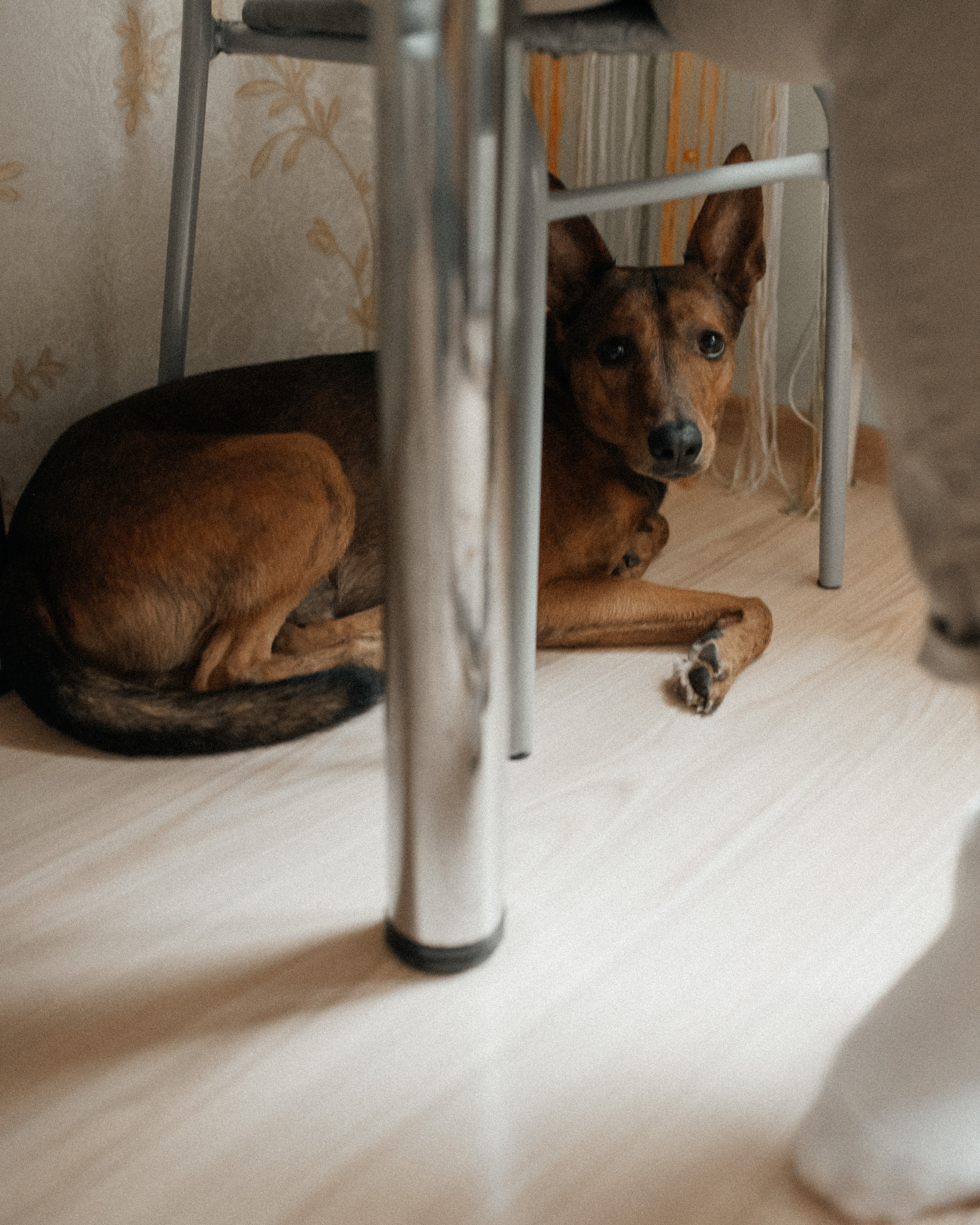 Аврора 8 мес. Фотограф г. Хабаровск