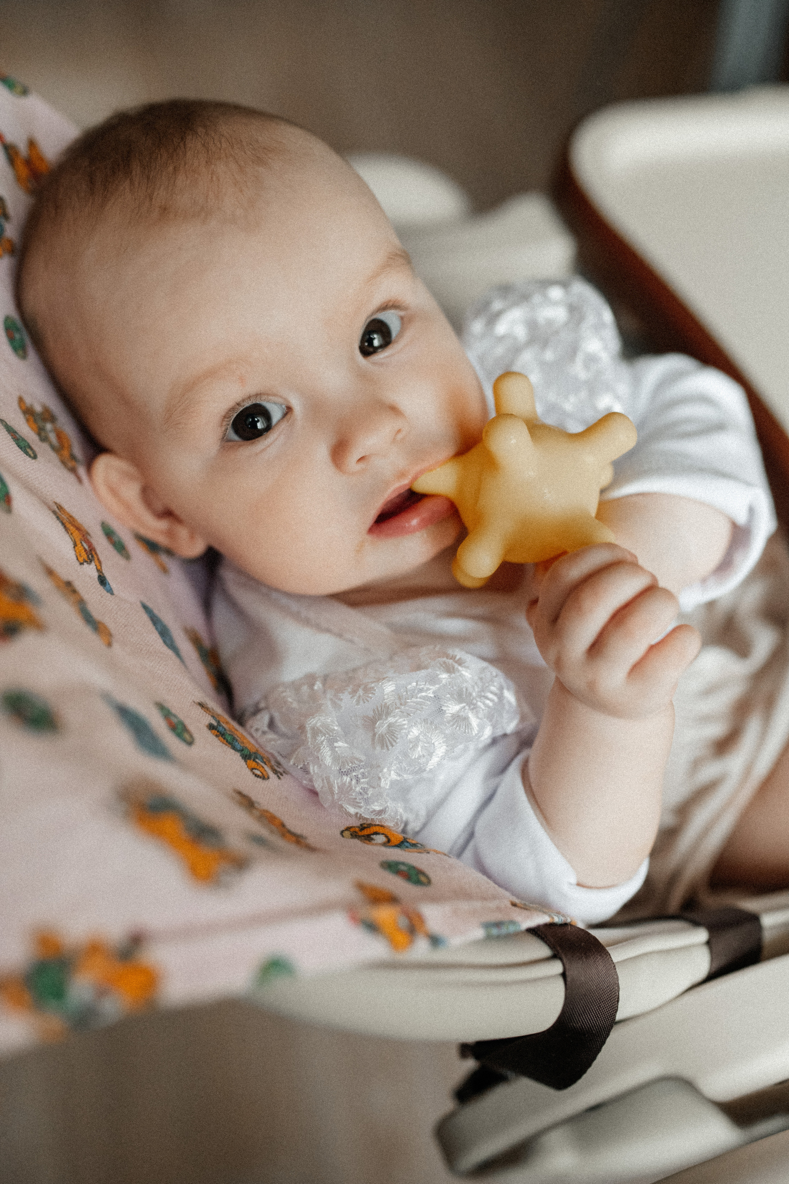 Аврора 8 мес. Фотограф г. Хабаровск