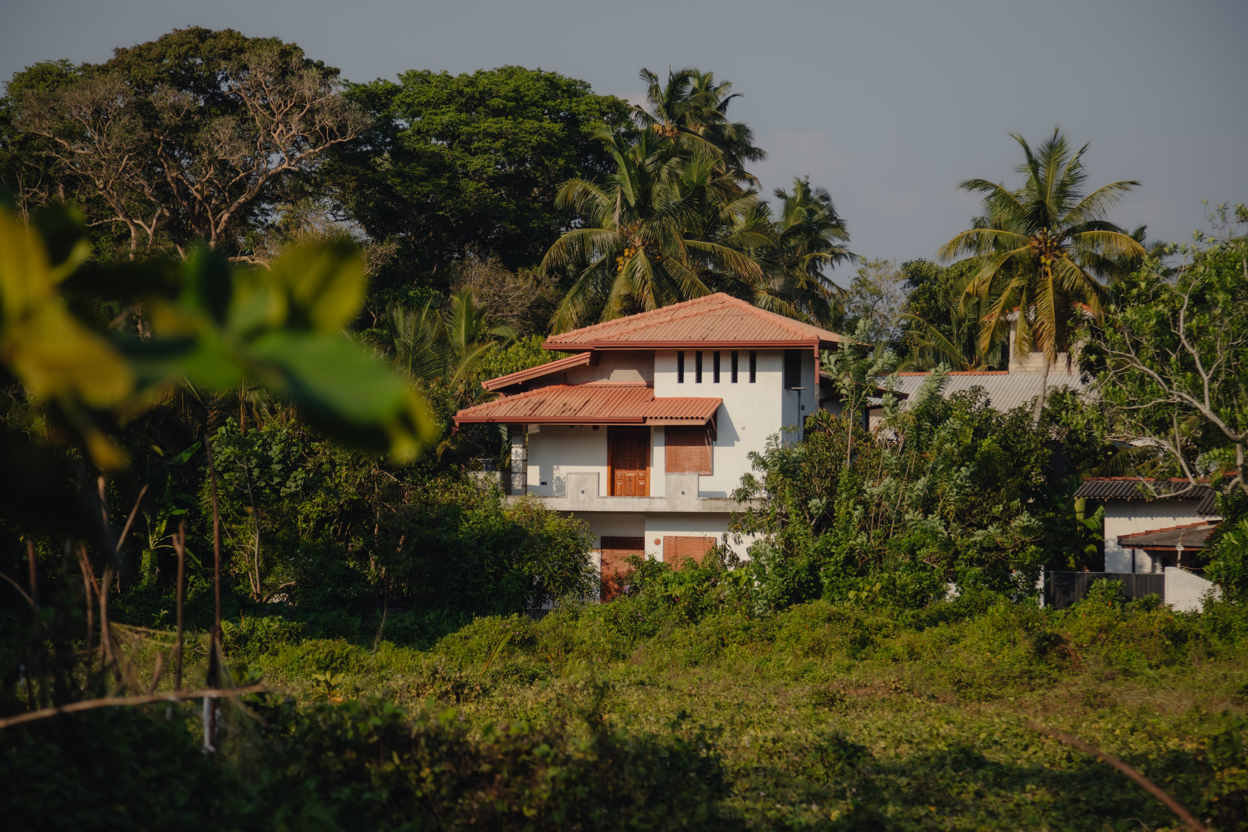 Шри-Ланка. Фотограф Юля Постнова