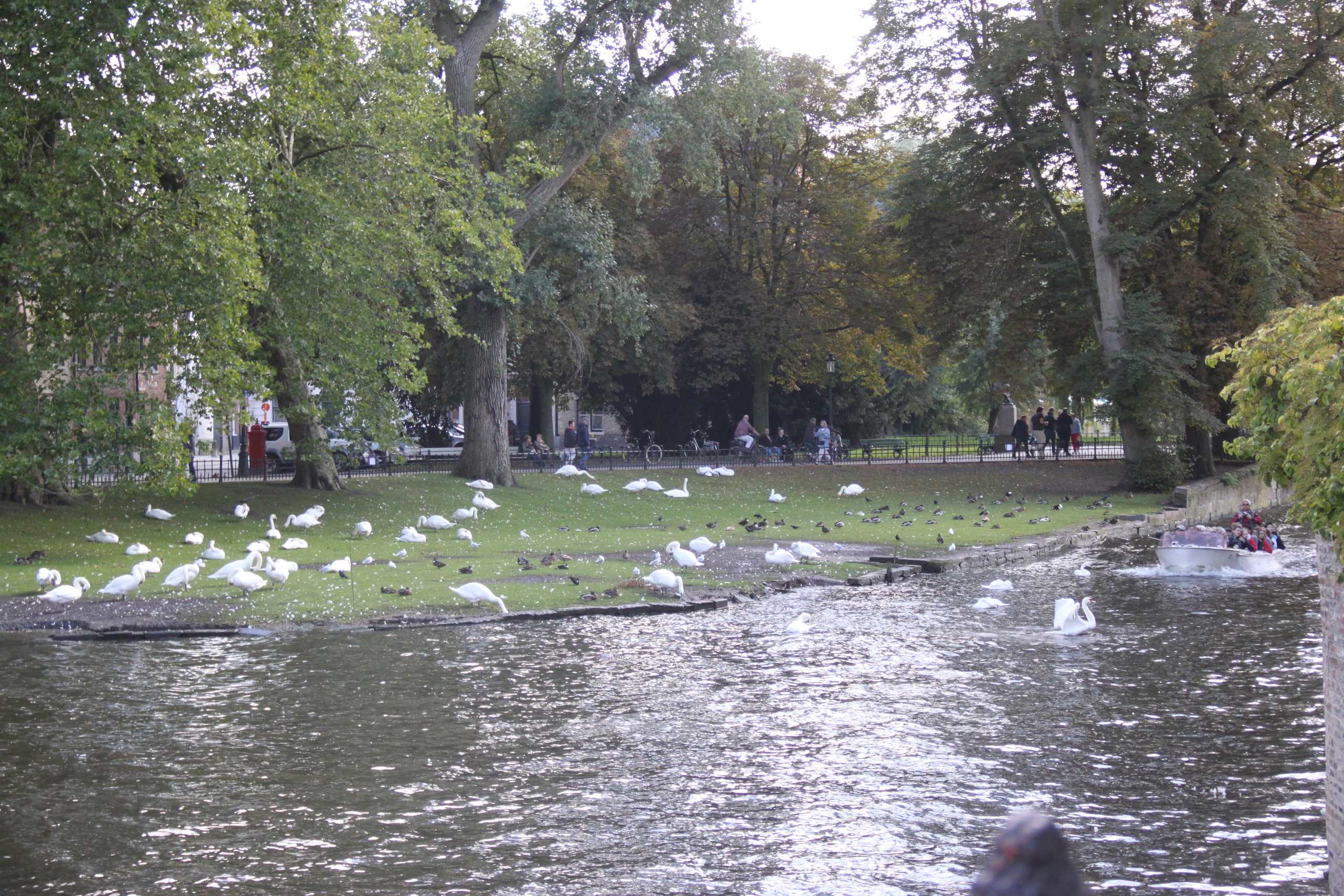 Bruges, Belgium. Andrey Filippov Photographer