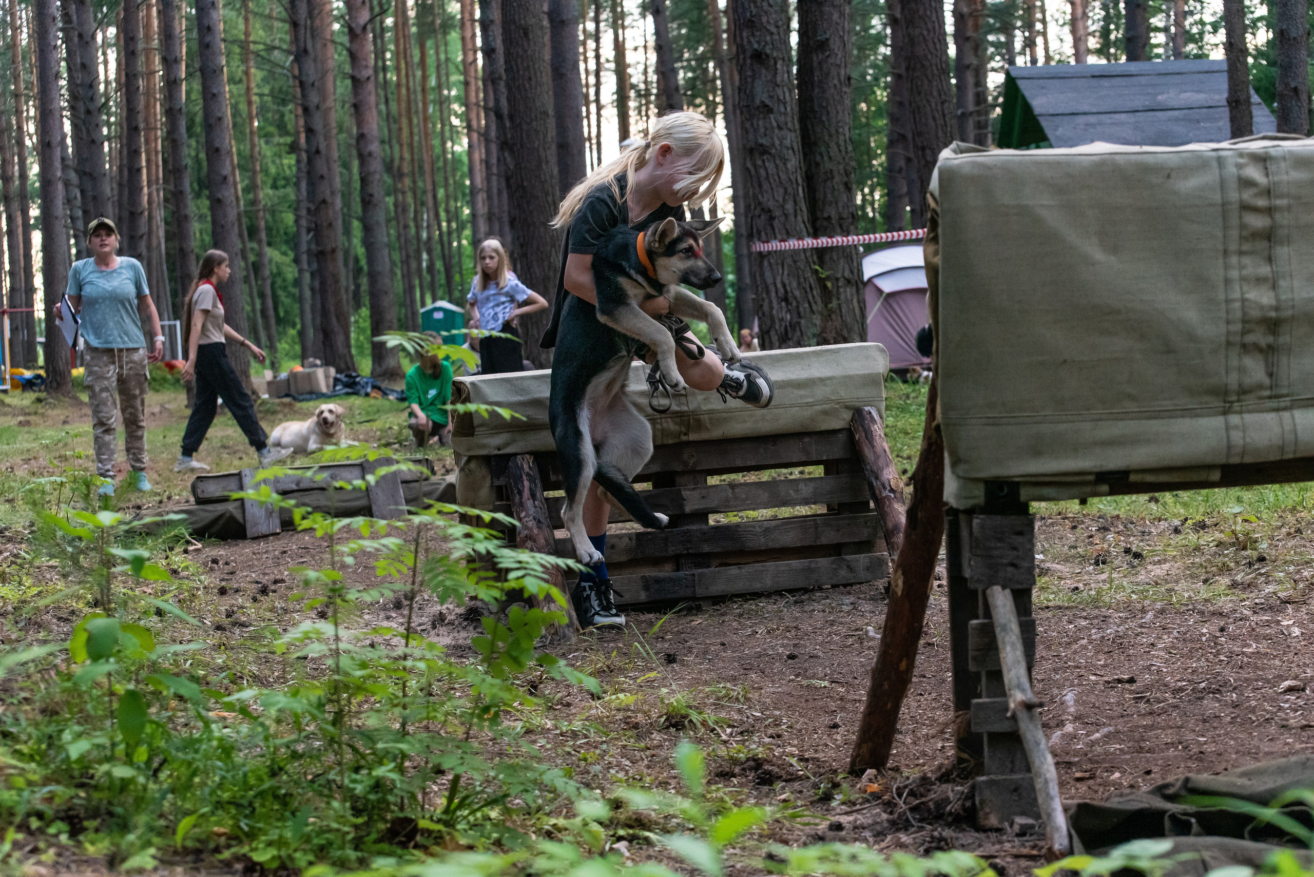 Хвостатые каникулы Детский кинологический лагерь. Фотограф Макс Огурцов в Нижнем Новгороде