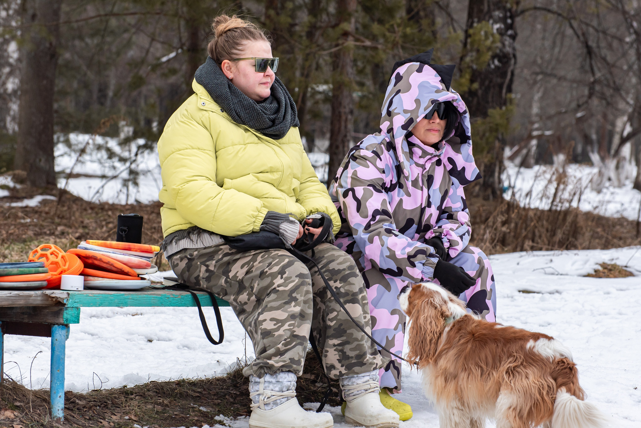 Фотосъёмка с собаками в Кинологическом лагере. Фотограф Макс Огурцов в Нижнем Новгороде
