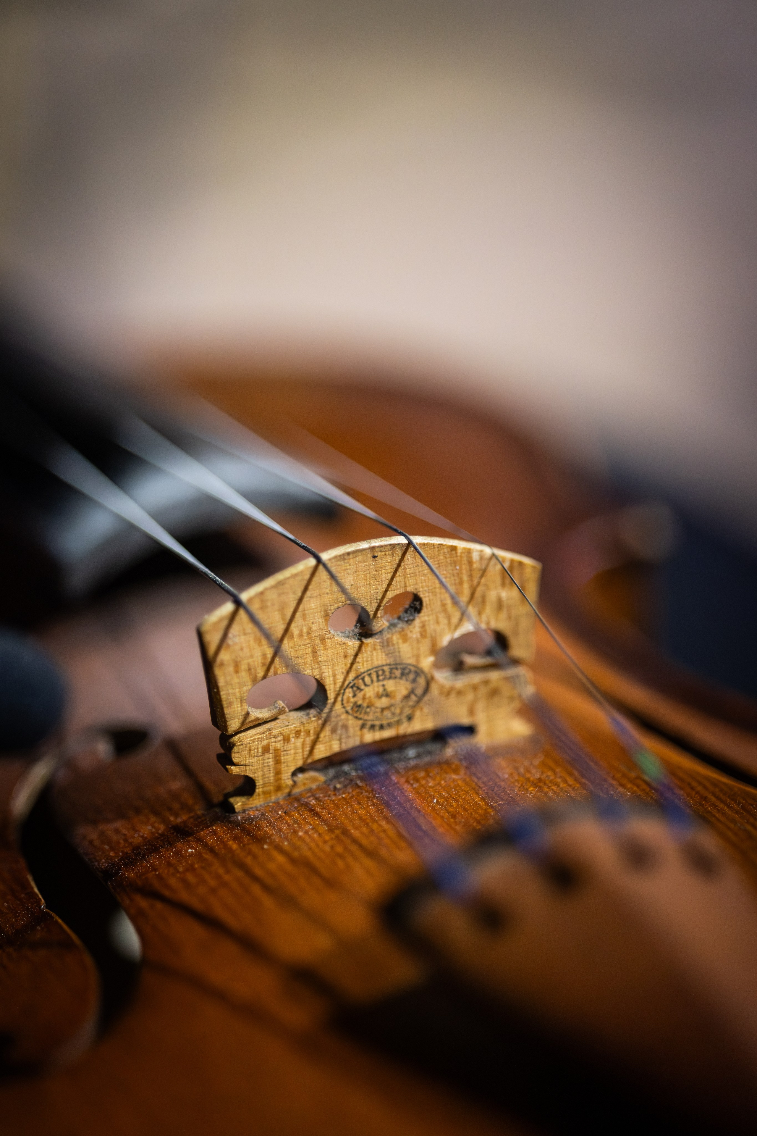 Muse. Екатерина Рыбина фотограф в Нижнем Новгороде