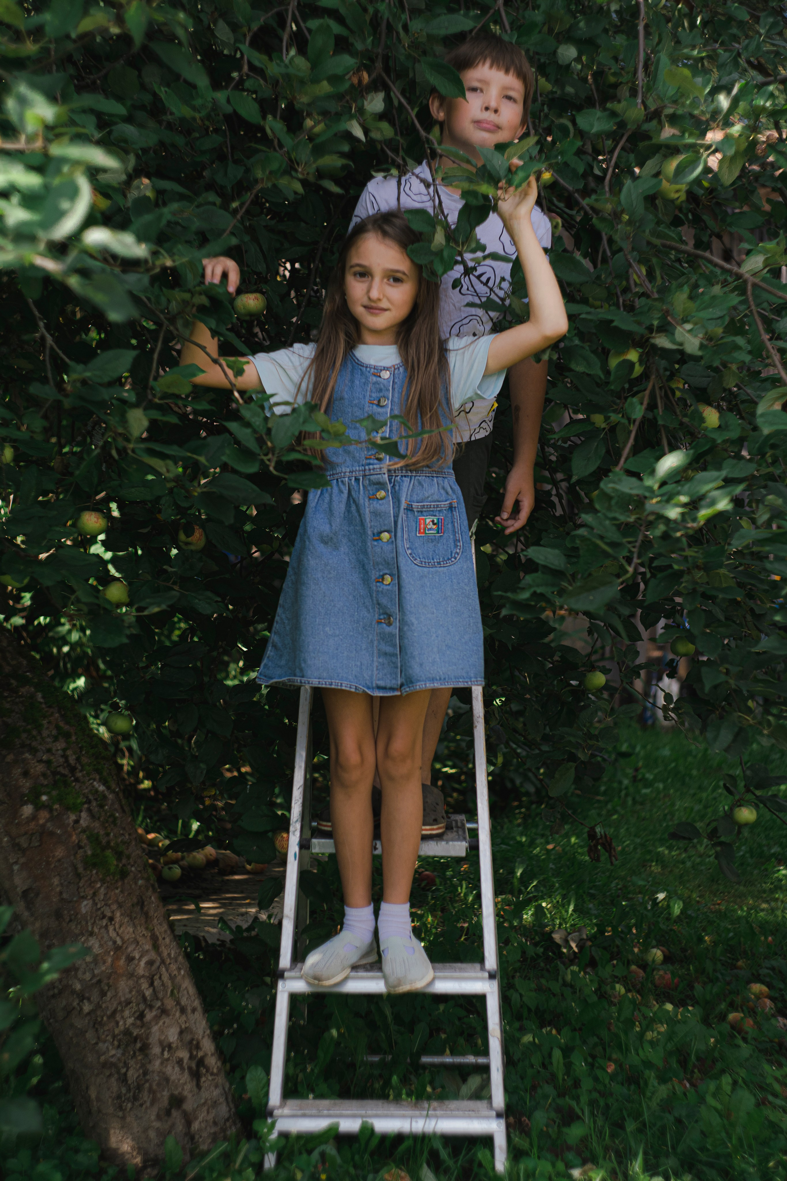 Цветные фотографии. Фотографии Лены Соколовой