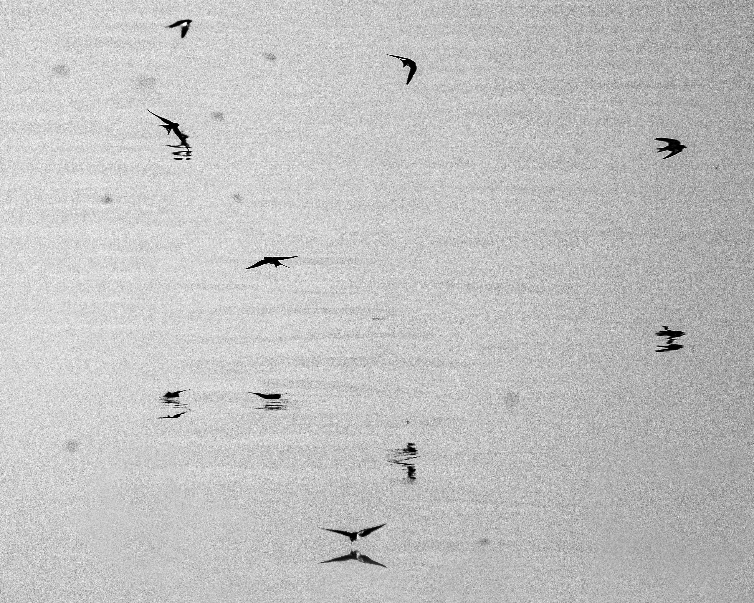 Ч.б. фотографии. Фотографии Лены Соколовой