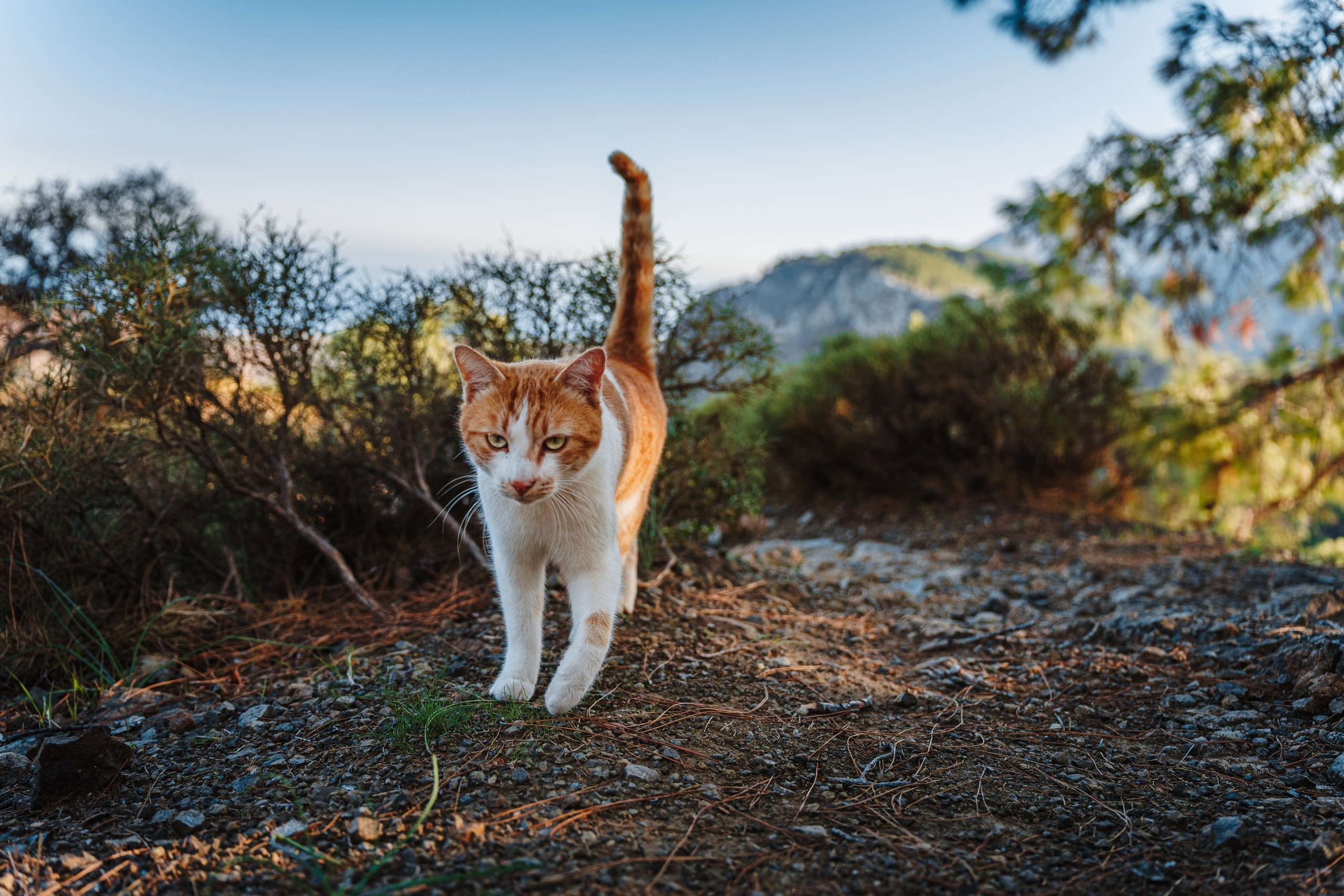 поход по ликийской тропе 2026