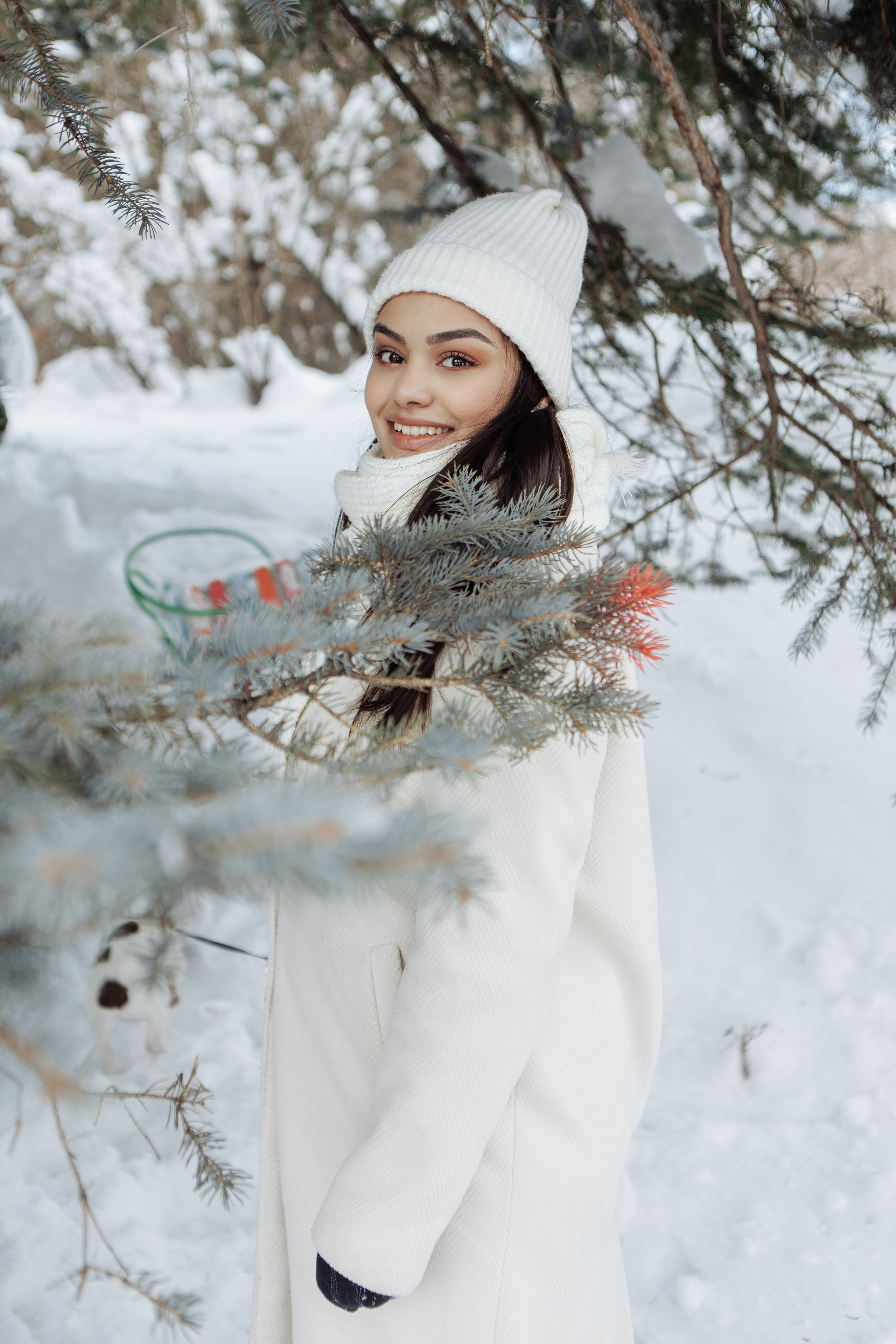 Снежинки. Գլխավոր