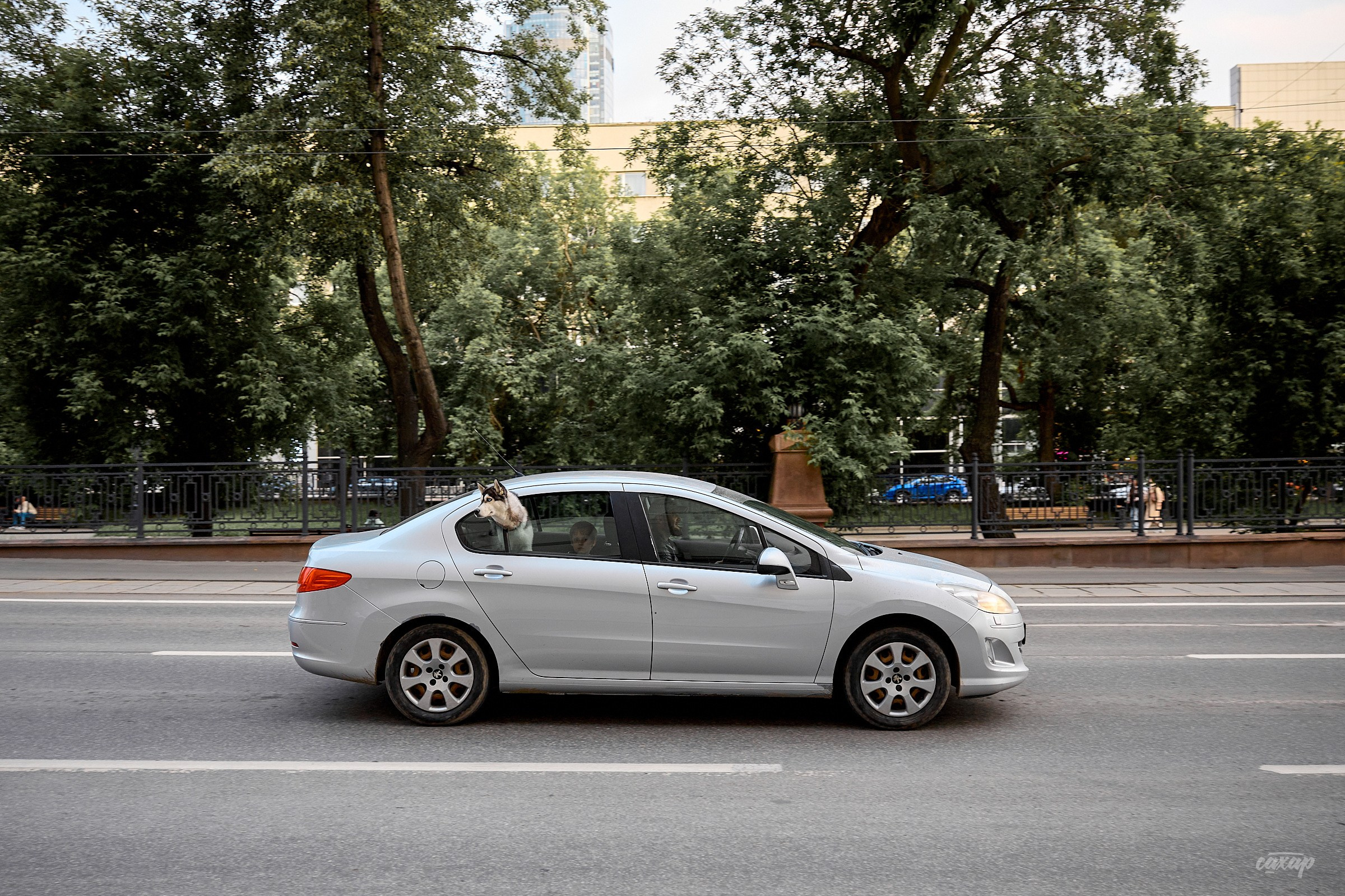 Не чай с Сахаром, а фото прогулка! 26.06.2024. Профессиональный фотограф в Екатеринбурге Юра Сахар