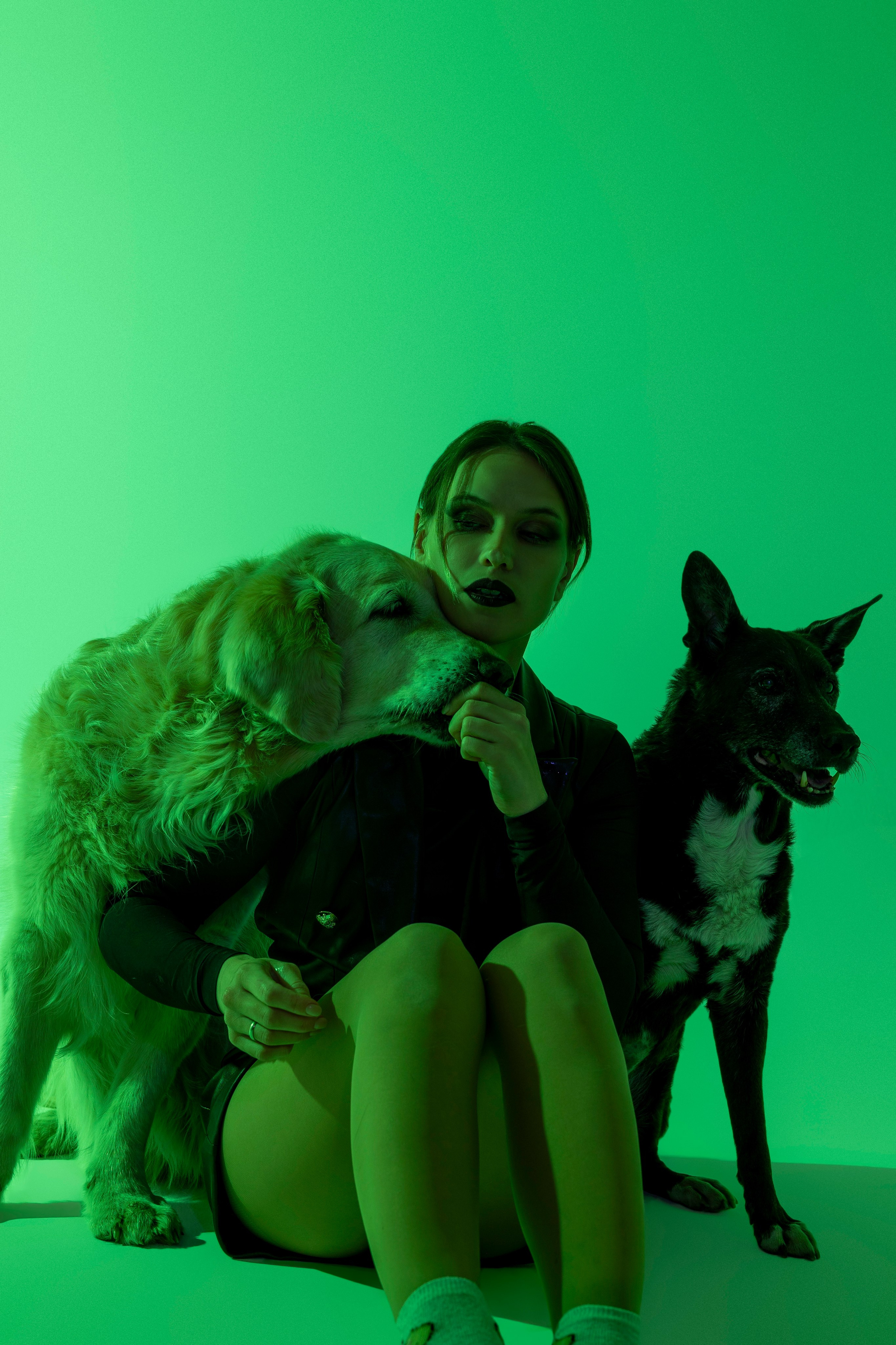 Съемка в студии с собакой. Анастасия Белаш