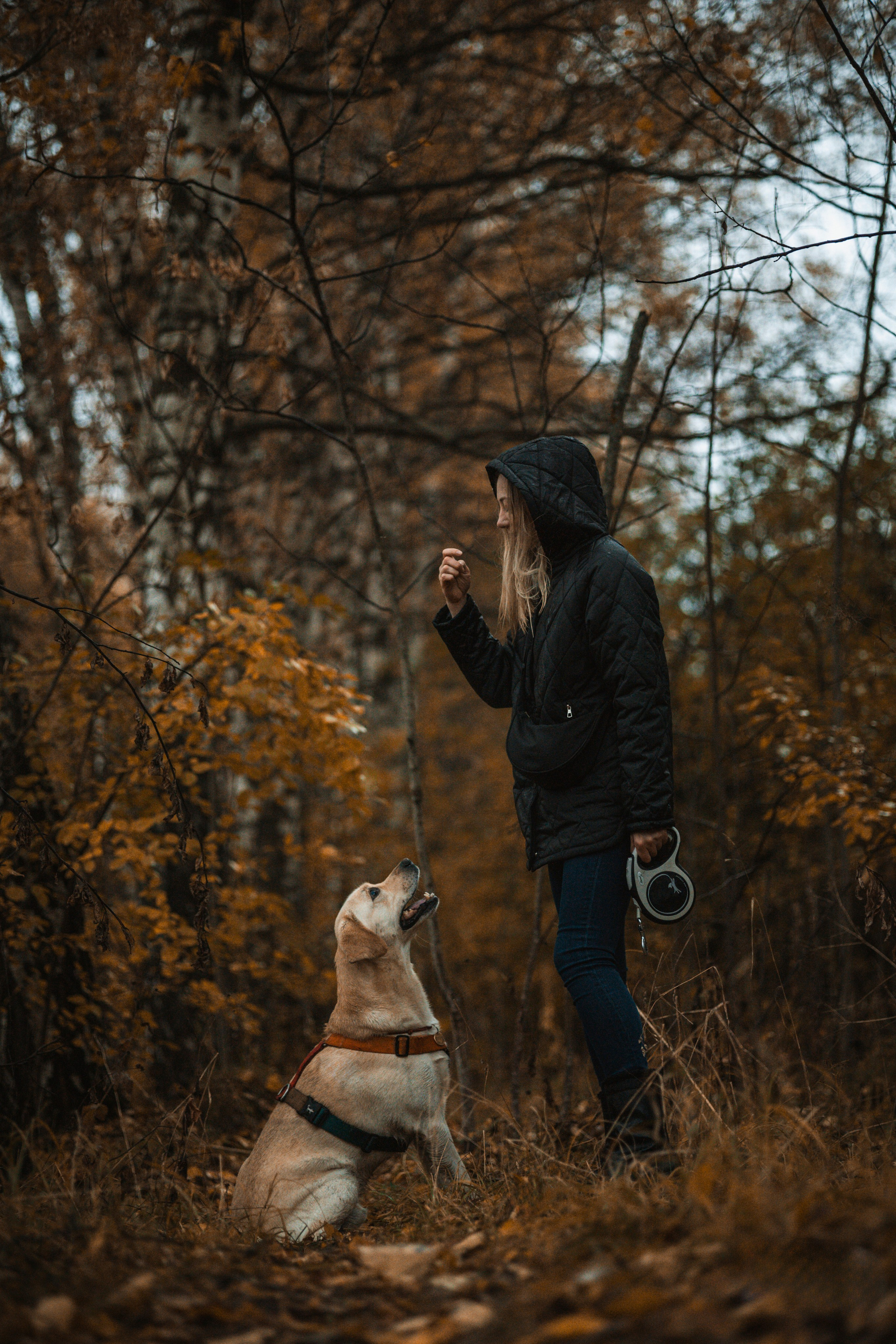 Съемка с собакой. Анастасия Белаш