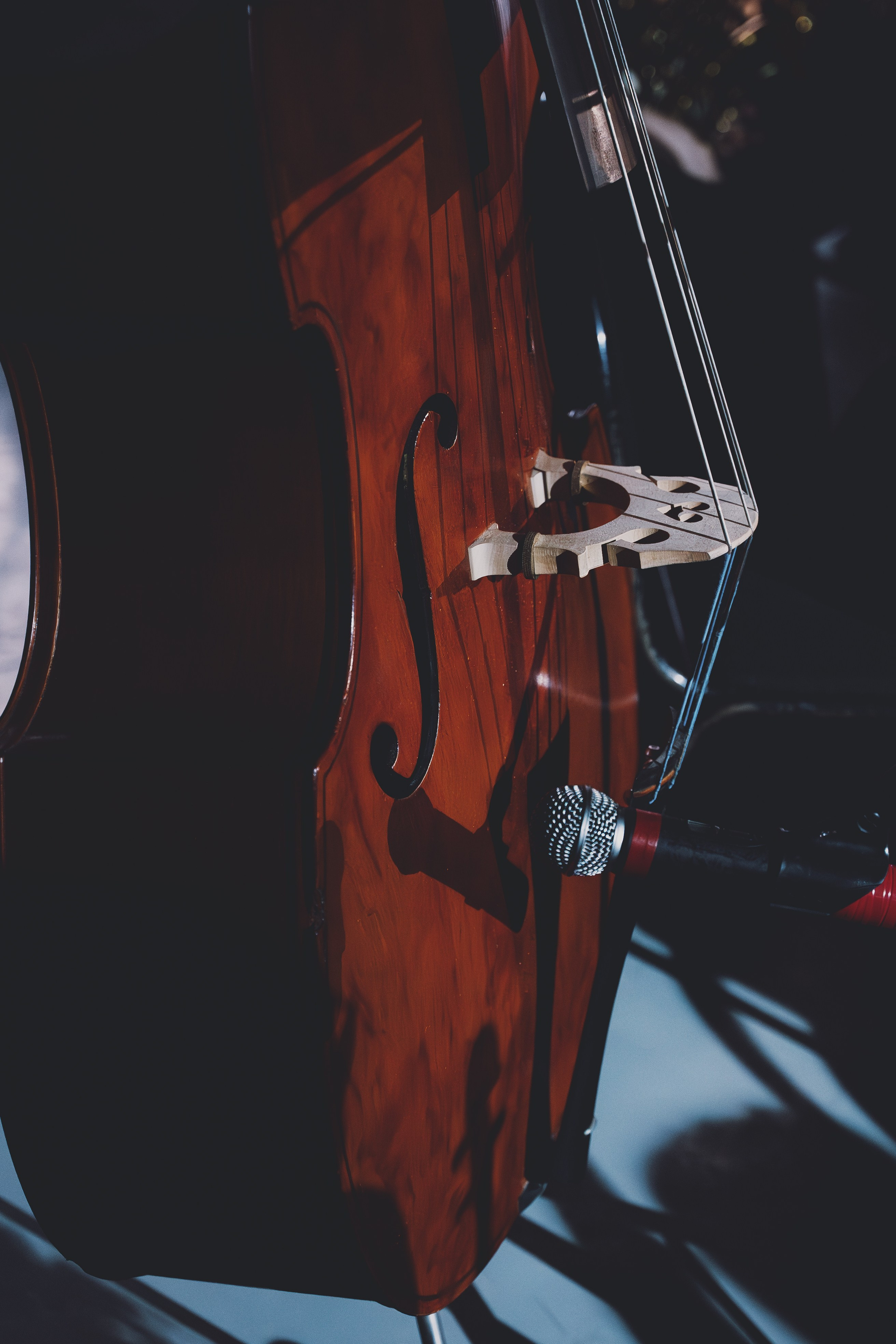 Оркестр НИУ ВШЭ. Фотограф в Москве