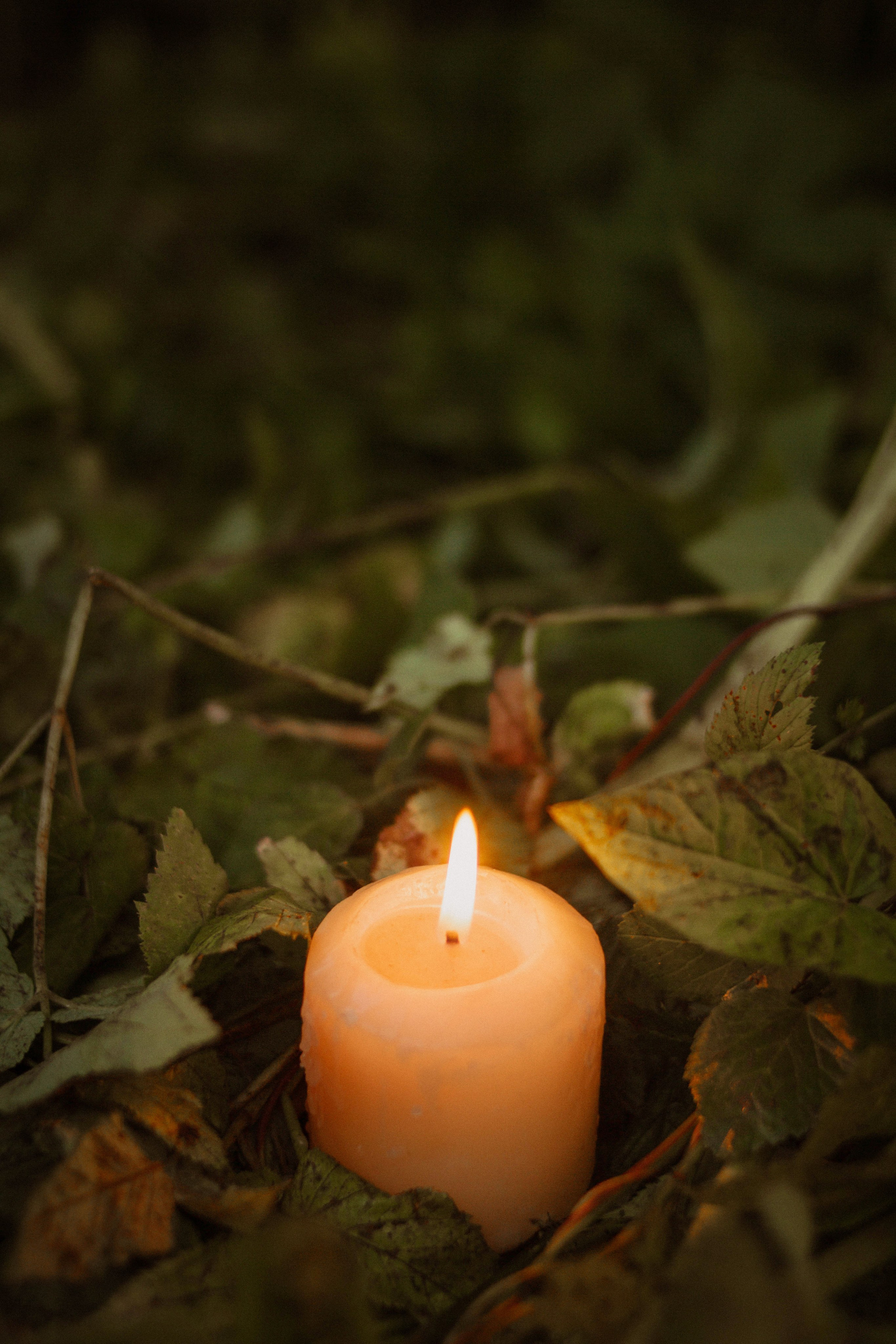 Кувшинки. Создадим шедевр? Виталина и её фотоискусство