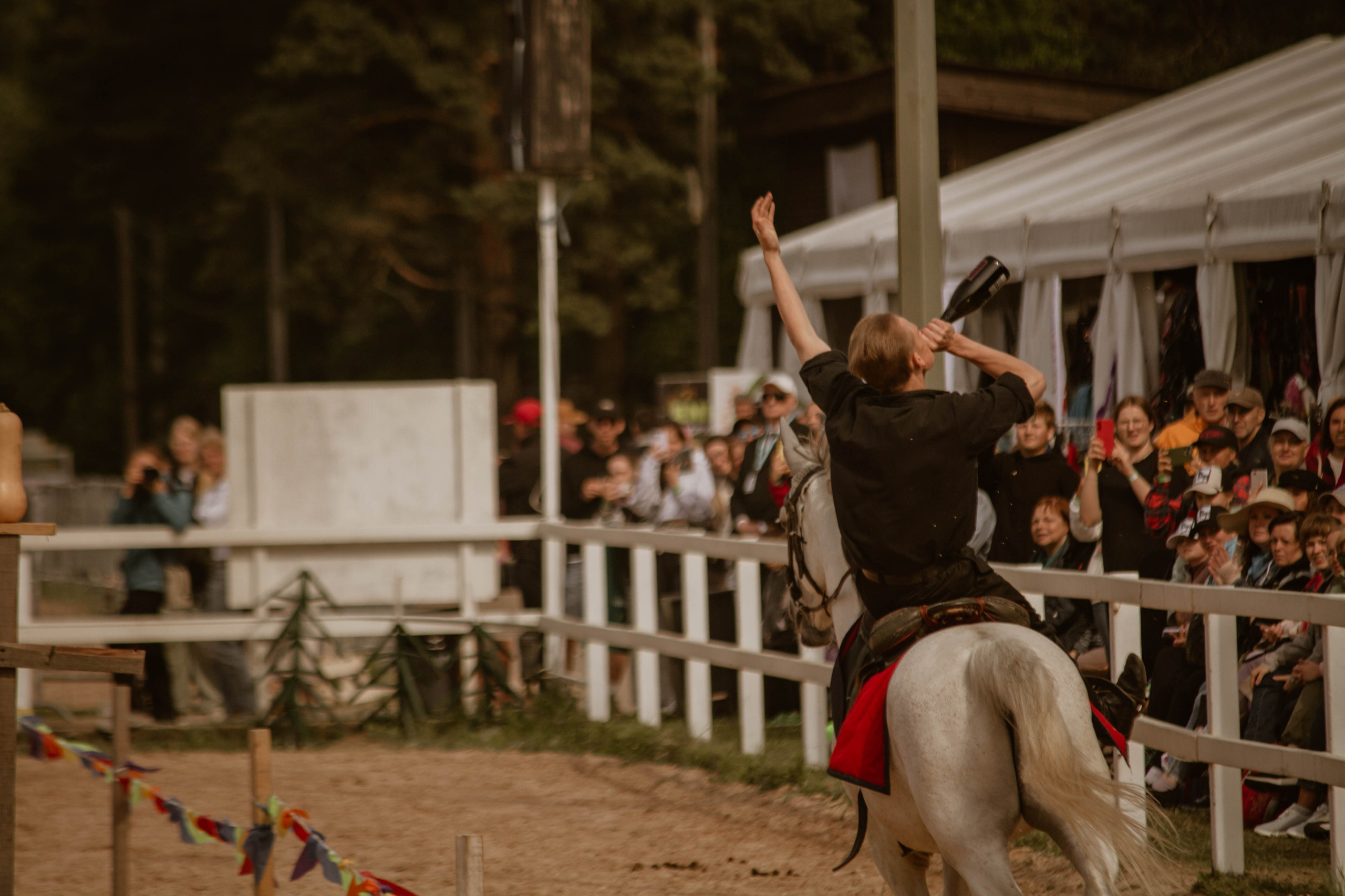 ИППОСФЕРА — Международная конная выставка. Создадим шедевр? Виталина и её фотоискусство