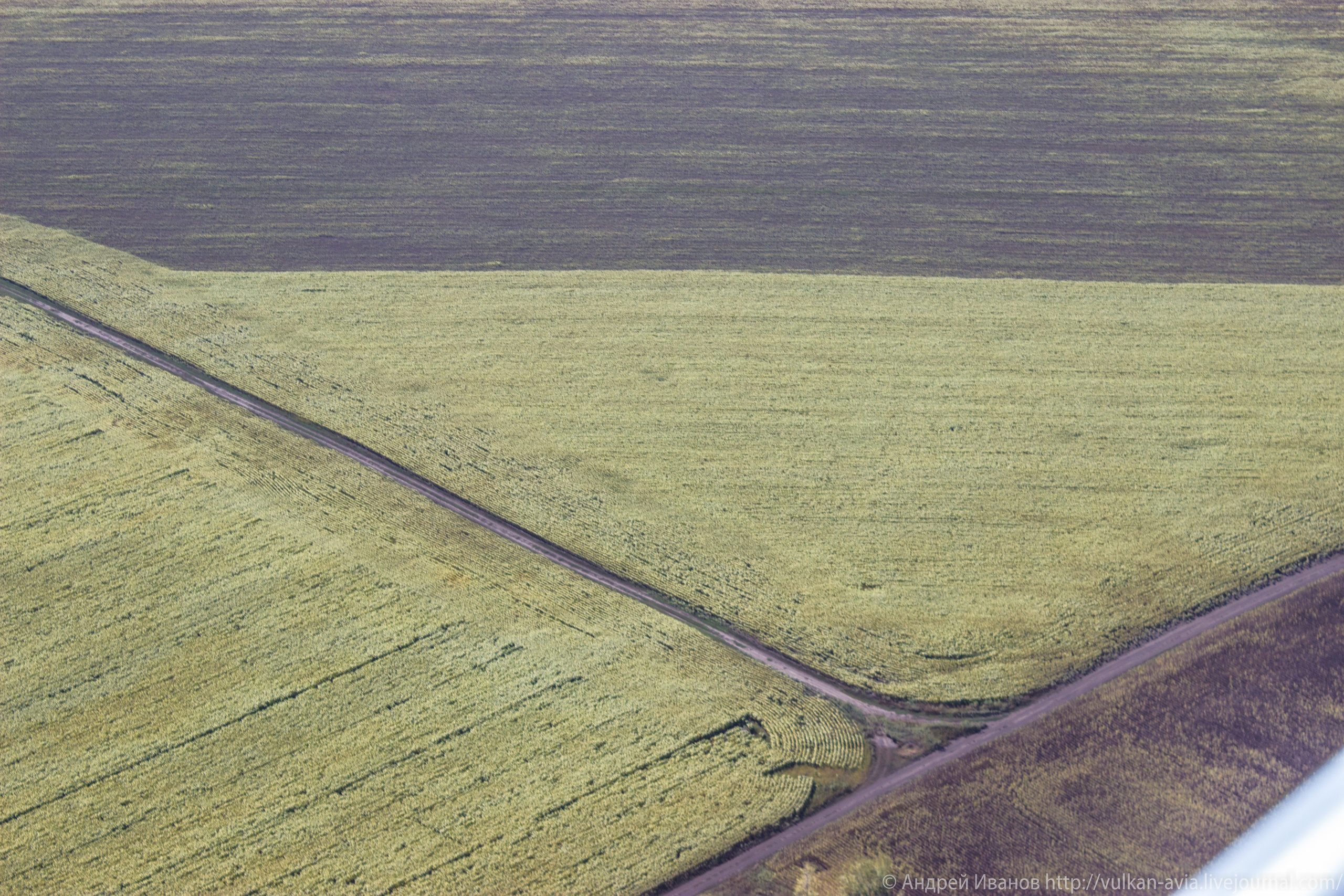 Волгодонск аэр. Потапов слёт «Небо для всех» (2021 г.). Фотоальбом показывающий увлекательный мир авиации и мир медведей Андрея Иванова