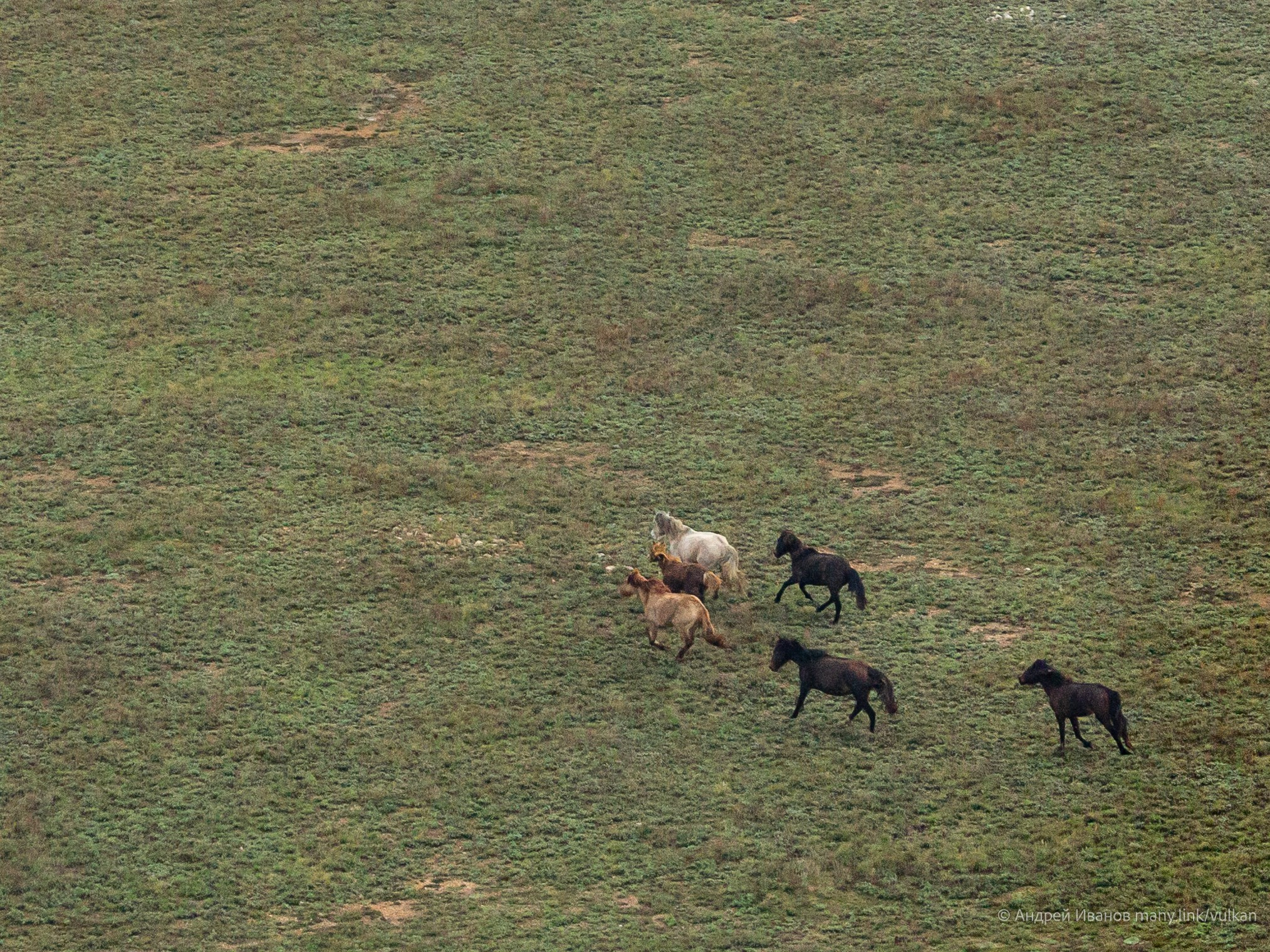 Перелёт на Байконур в 2026 г на самолётах АОН. Фотоальбом показывающий увлекательный мир авиации и мир медведей Андрея Иванова