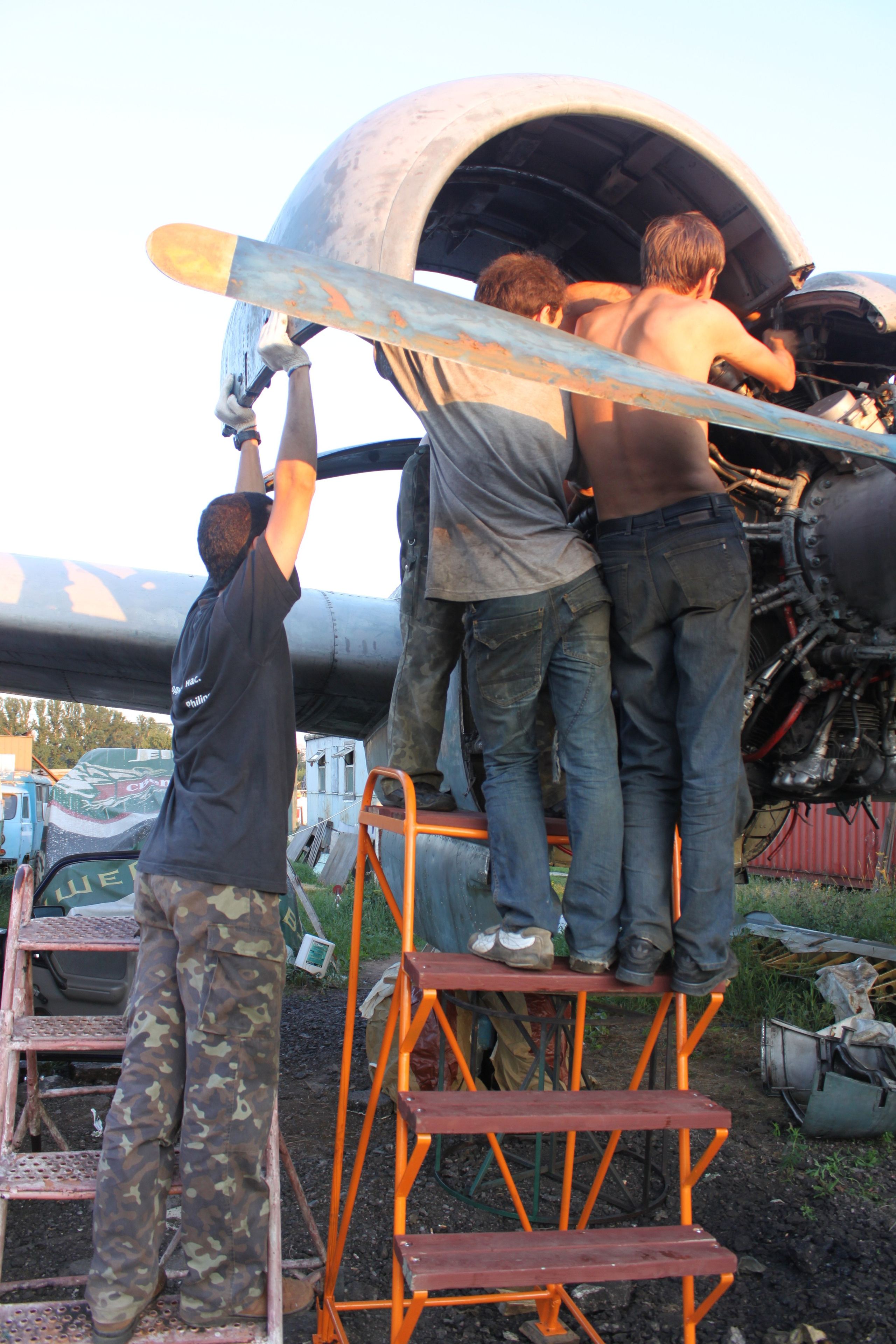 Ил-14Т «Голубая Мечта» работы в Тушино (2011 г.). Фотоальбом показывающий увлекательный мир авиации и мир медведей Андрея Иванова