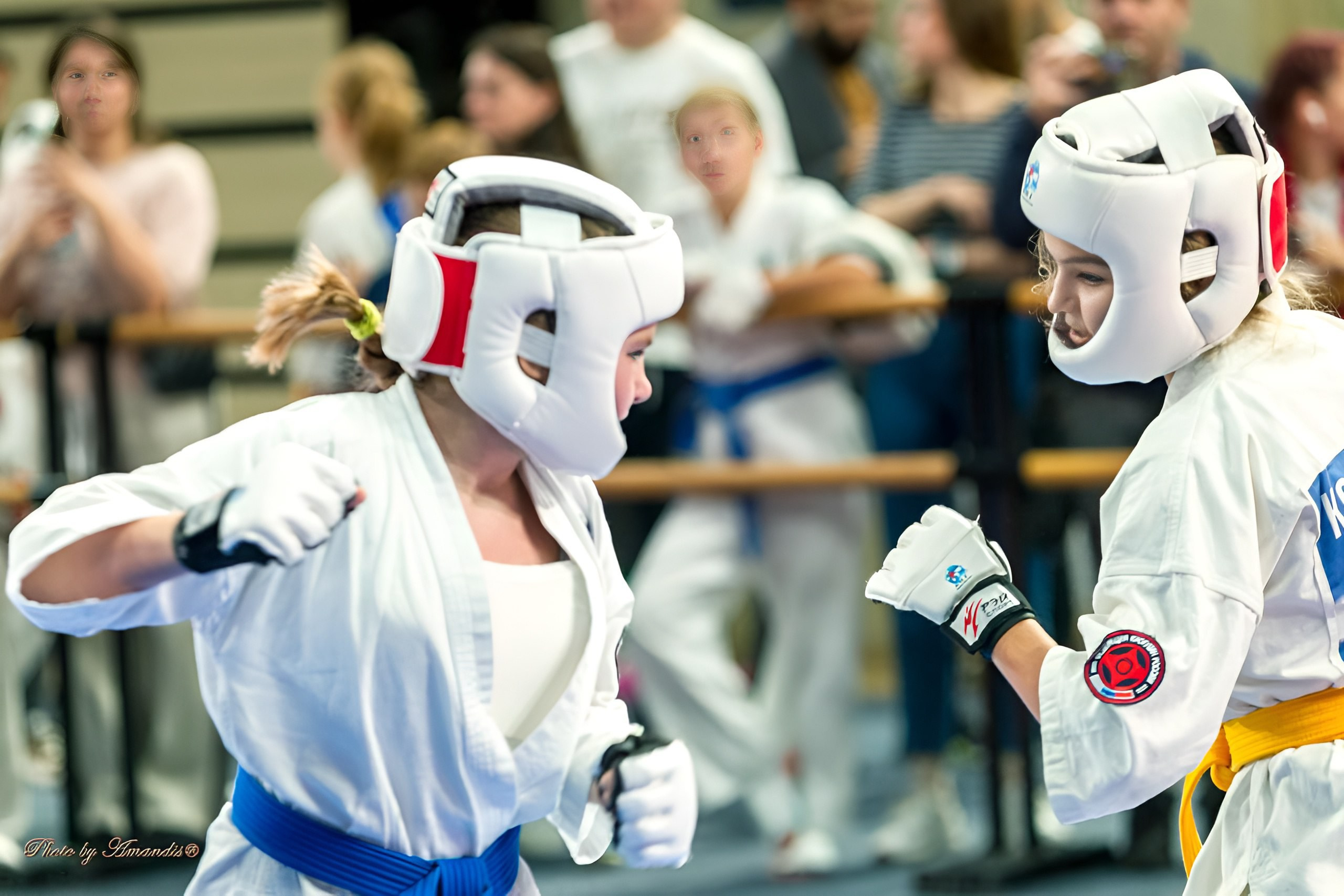 Первенство Московской области по Киокушин в СК «Жаворонки». Репортажная съемка в Москве и области. Анималистика