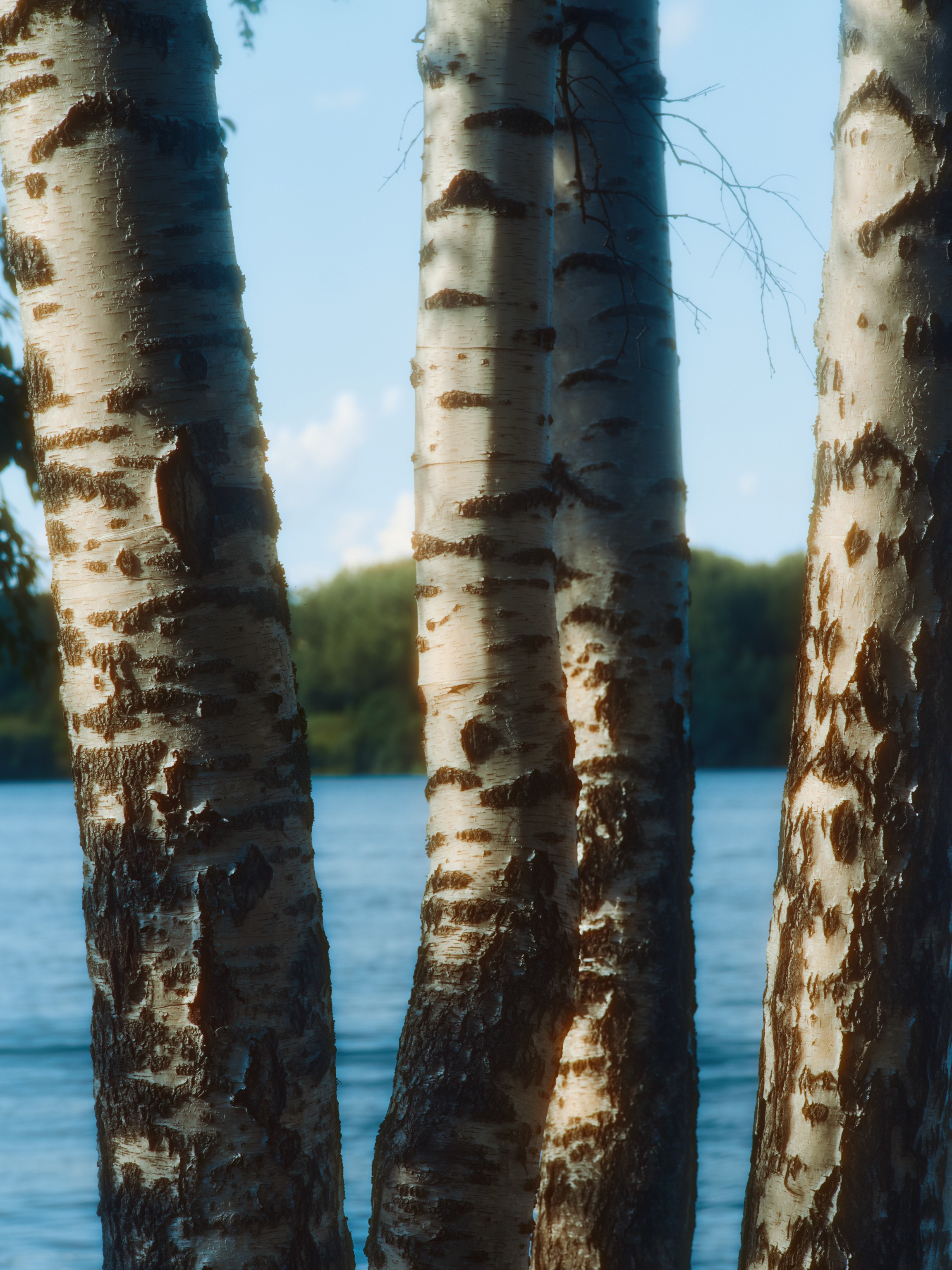 Фотограф Юлия Глазкова