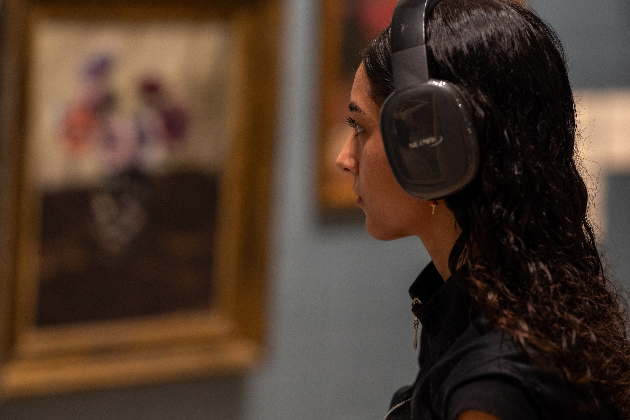 The Evita Fine Arts Museum (Palacio Ferreyra). Shanti Alex Art