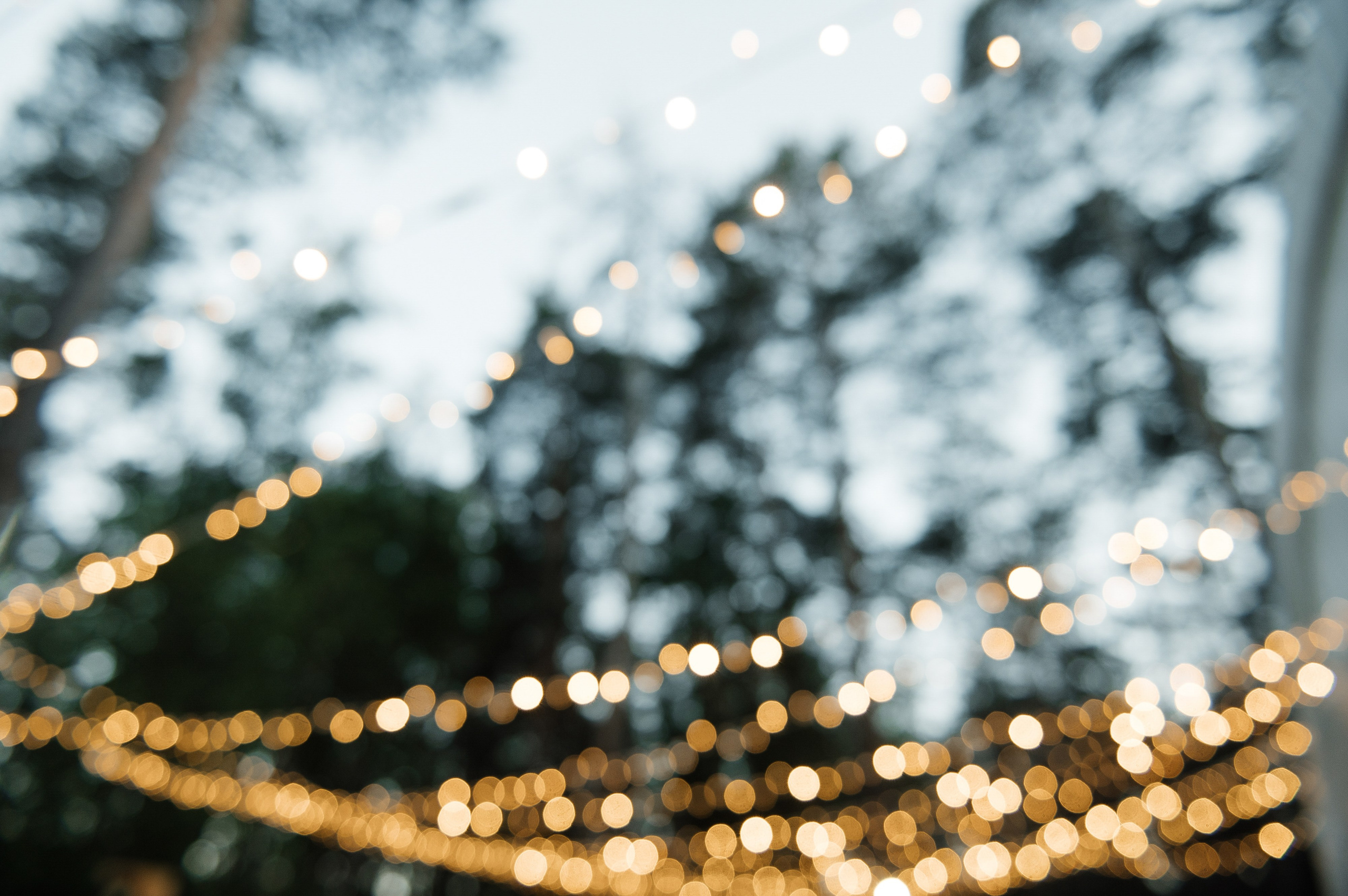 Вот такая заварушка. Свадебный фотограф Саша Базенко