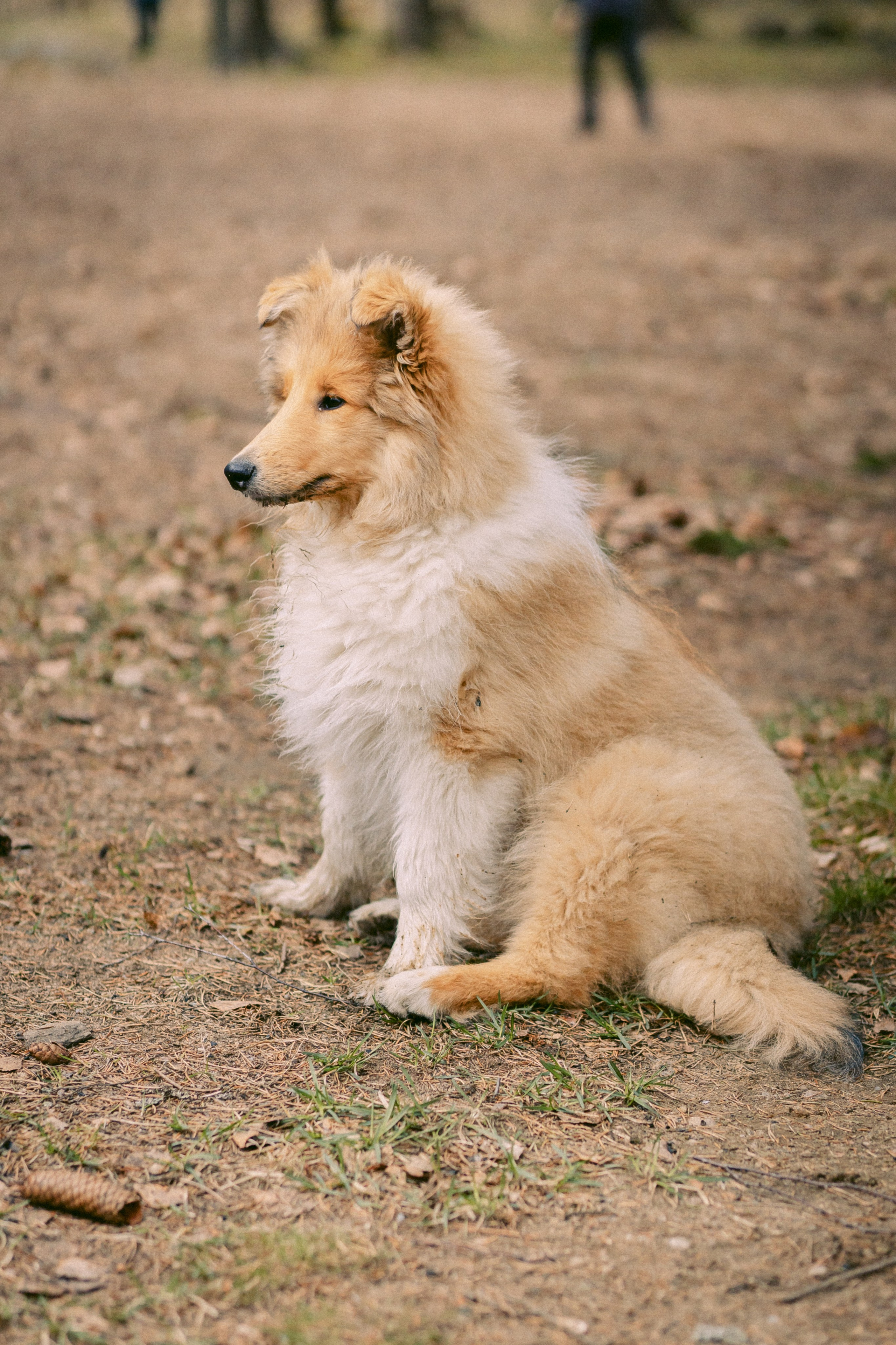 Корпоративы 🍸🍢. Фотограф в Санкт-Петербурге и ЛО — Сергей Козлов