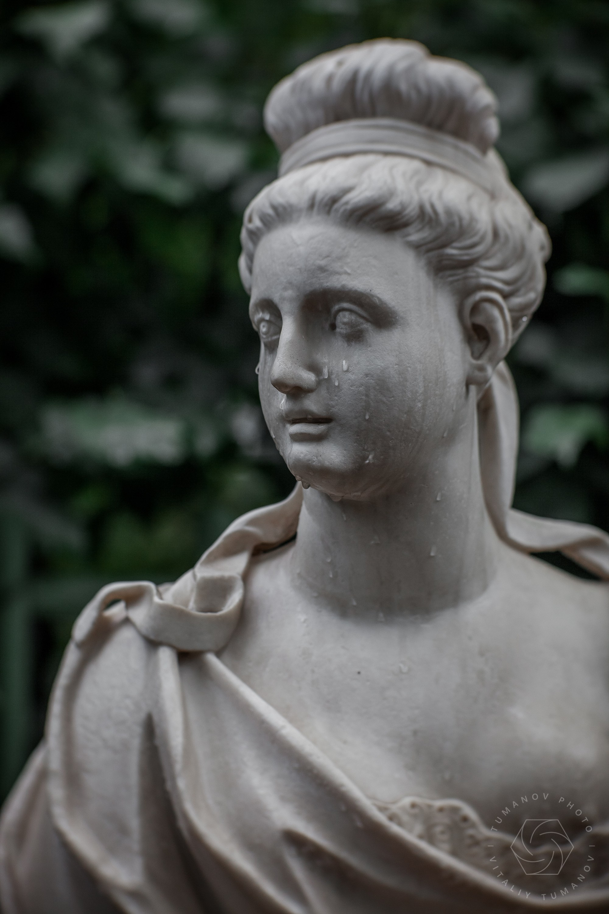 Ландшафтная фотография Летний сад Санкт-Питербург. Виталий Туманов — Ландшафтный фотограф