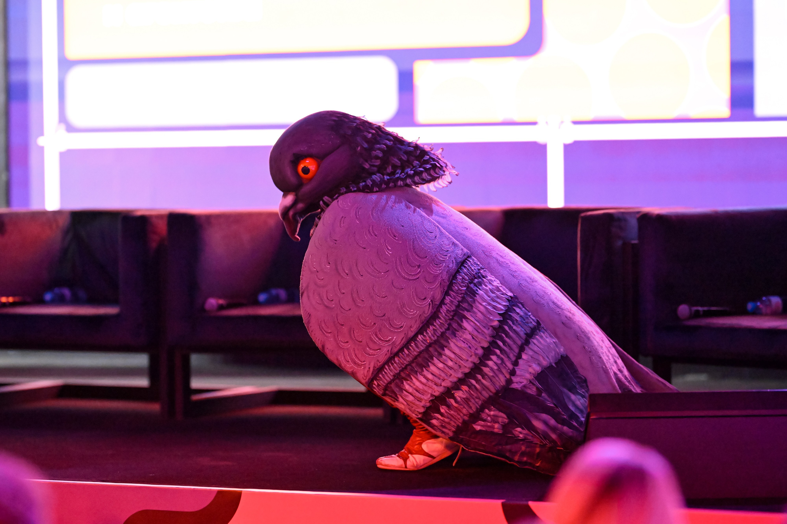 Субботин КОНФА 2025. Портфолио