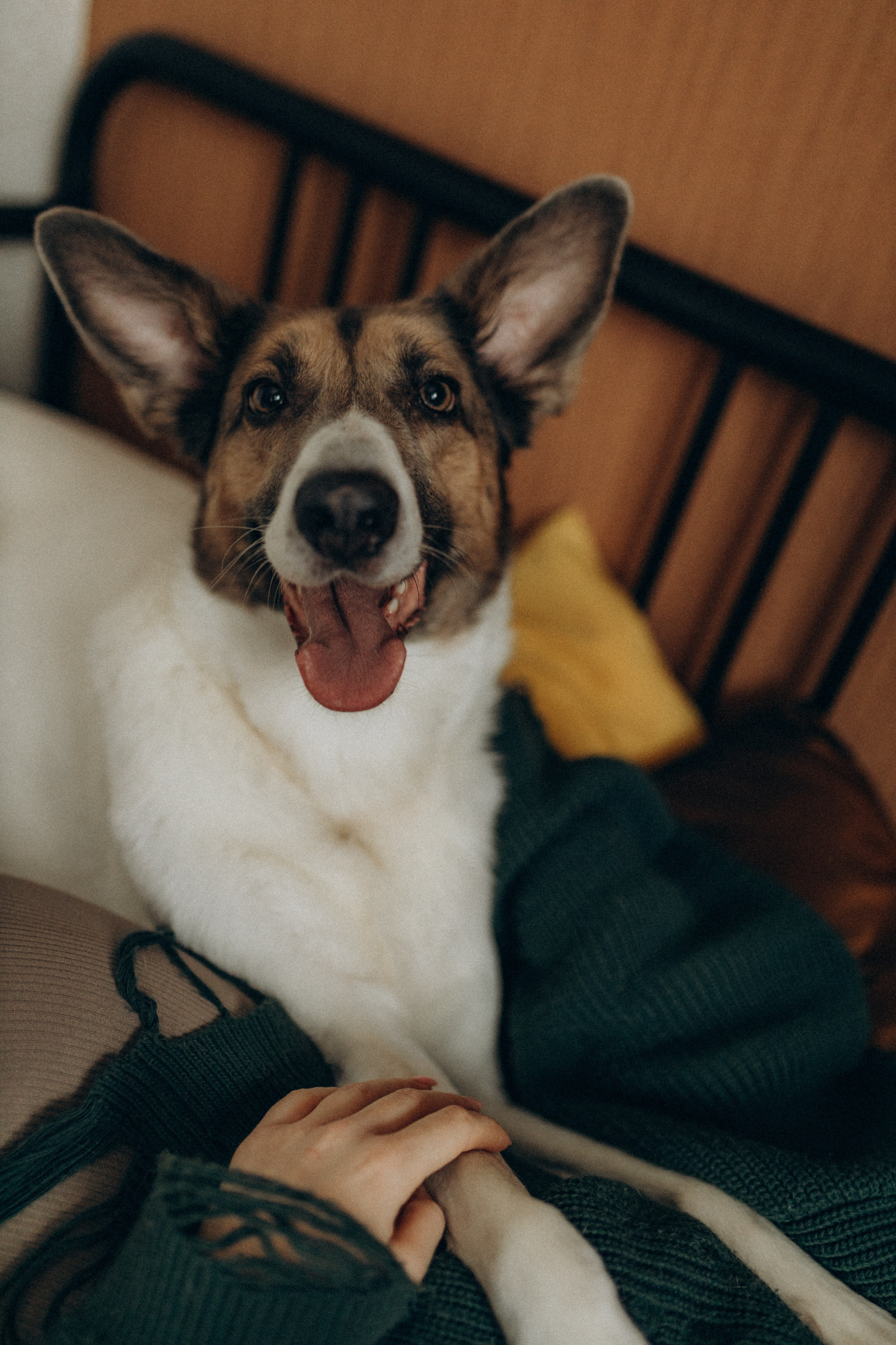 Полина. Фотограф НОГИНСК, Москва, Анастасия Белая