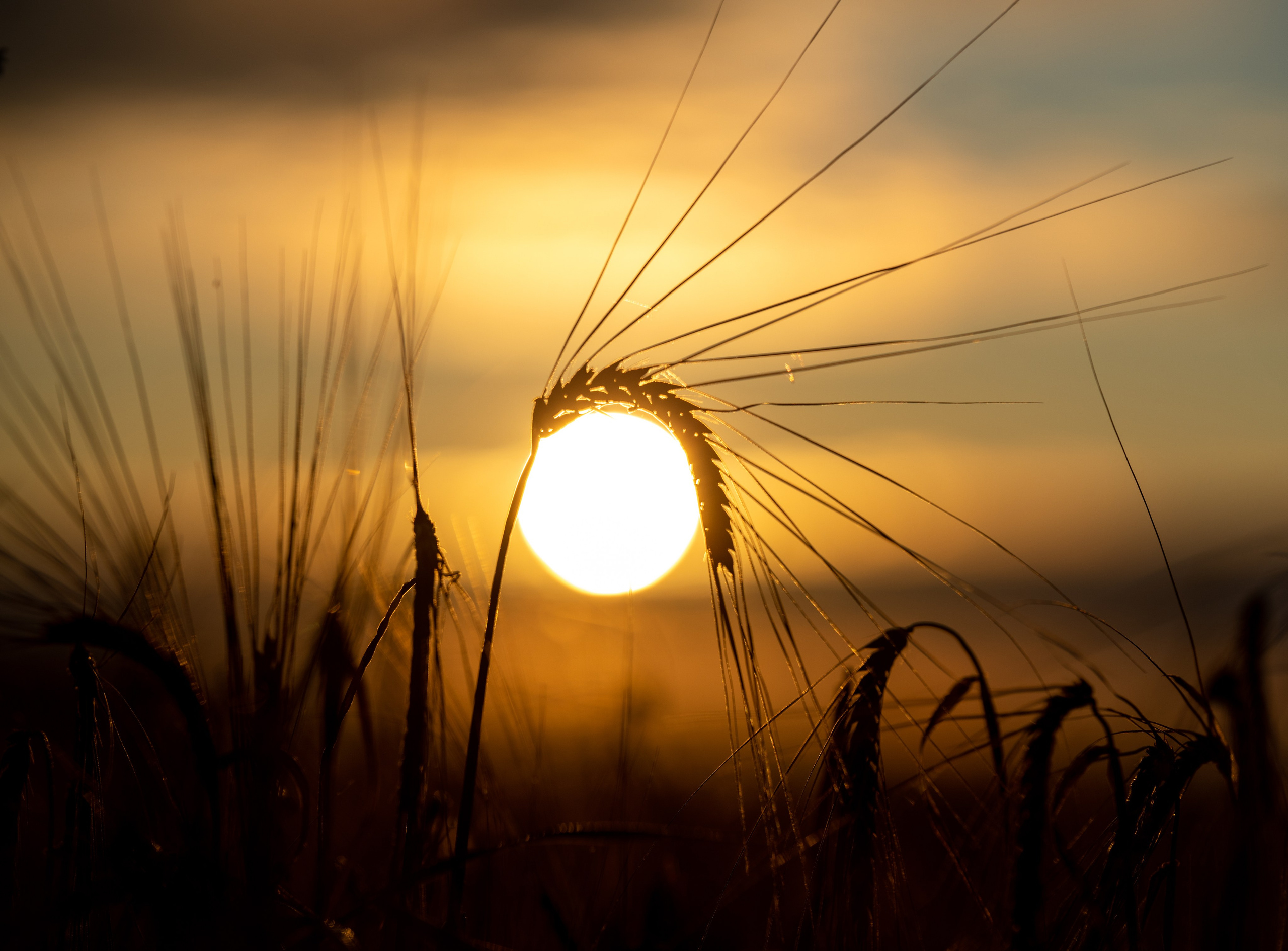 Природные пейзажи. Наталия Клевинскас портретный фотограф в Костроме
