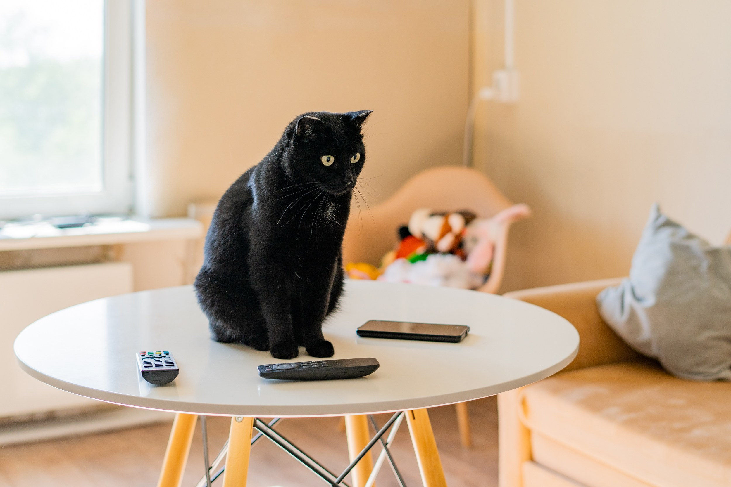 Гостиница. Фотограф Екатерина Зорина