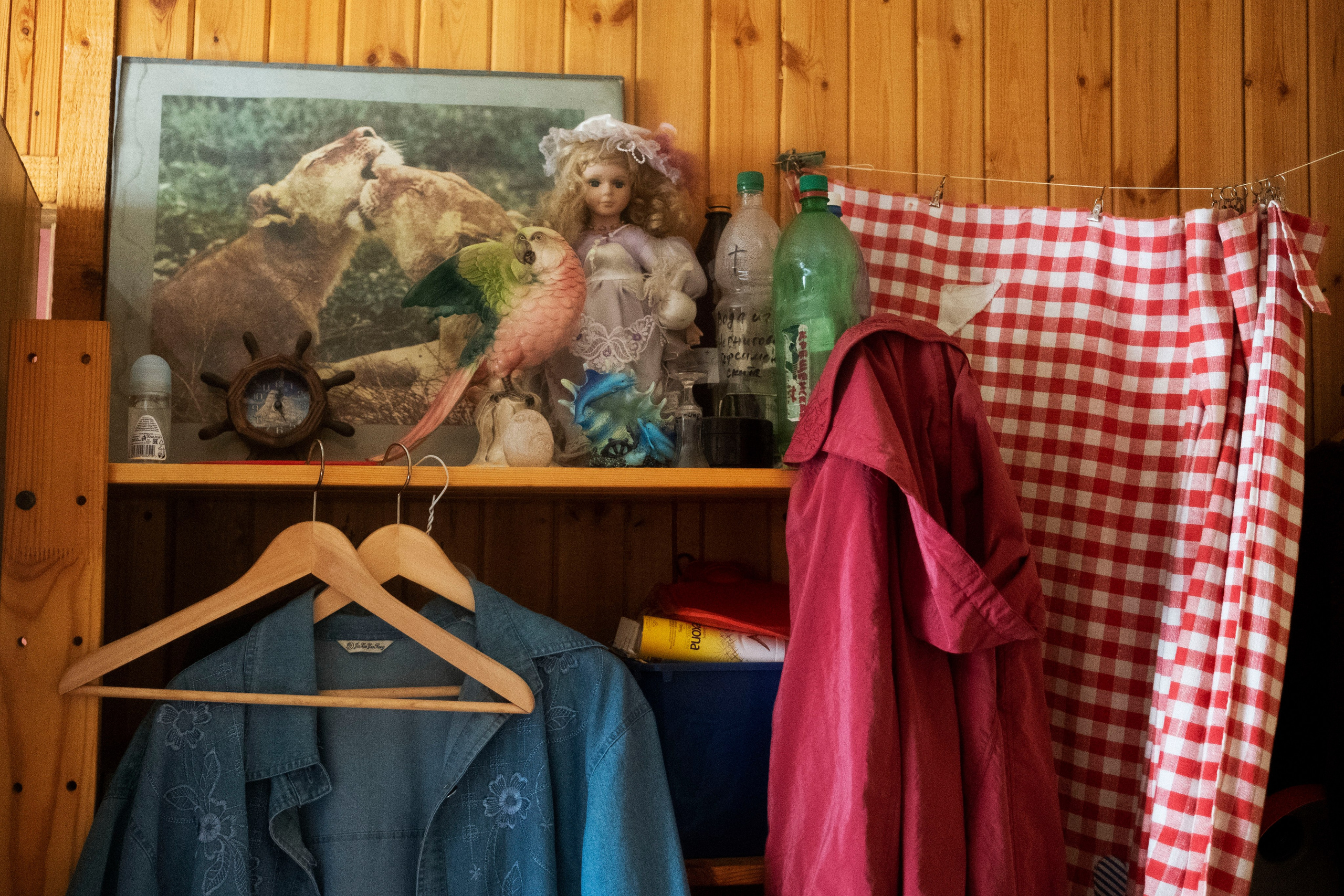 Дача, 2020. Портретный фотограф в Москве Евгения Яковенко