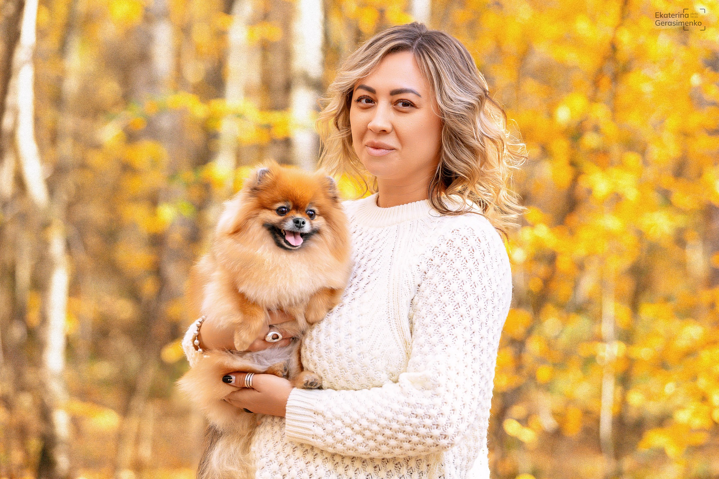 Шпиц. Htykk_photo