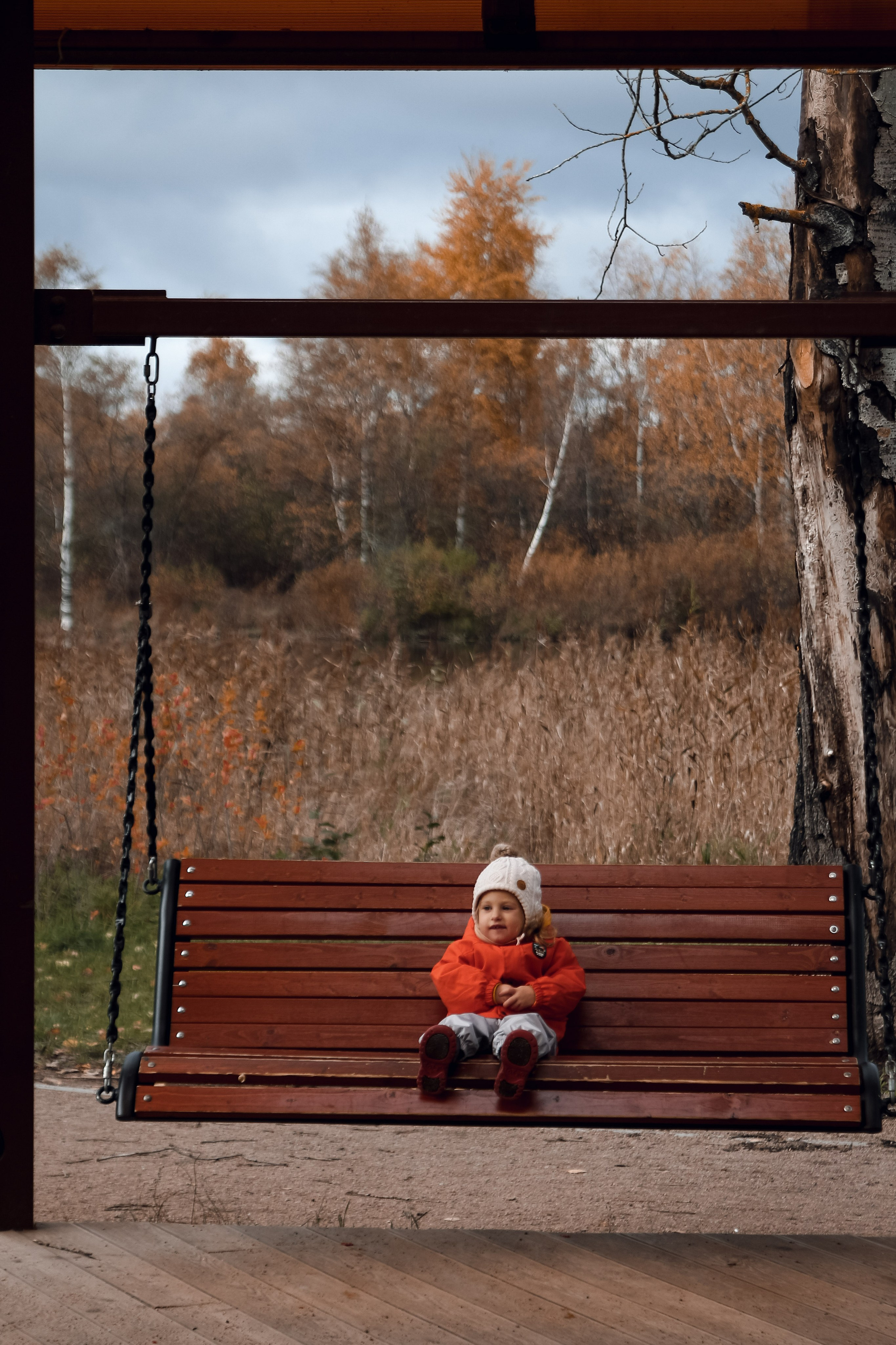 Осенний Лес. Катя Цвет