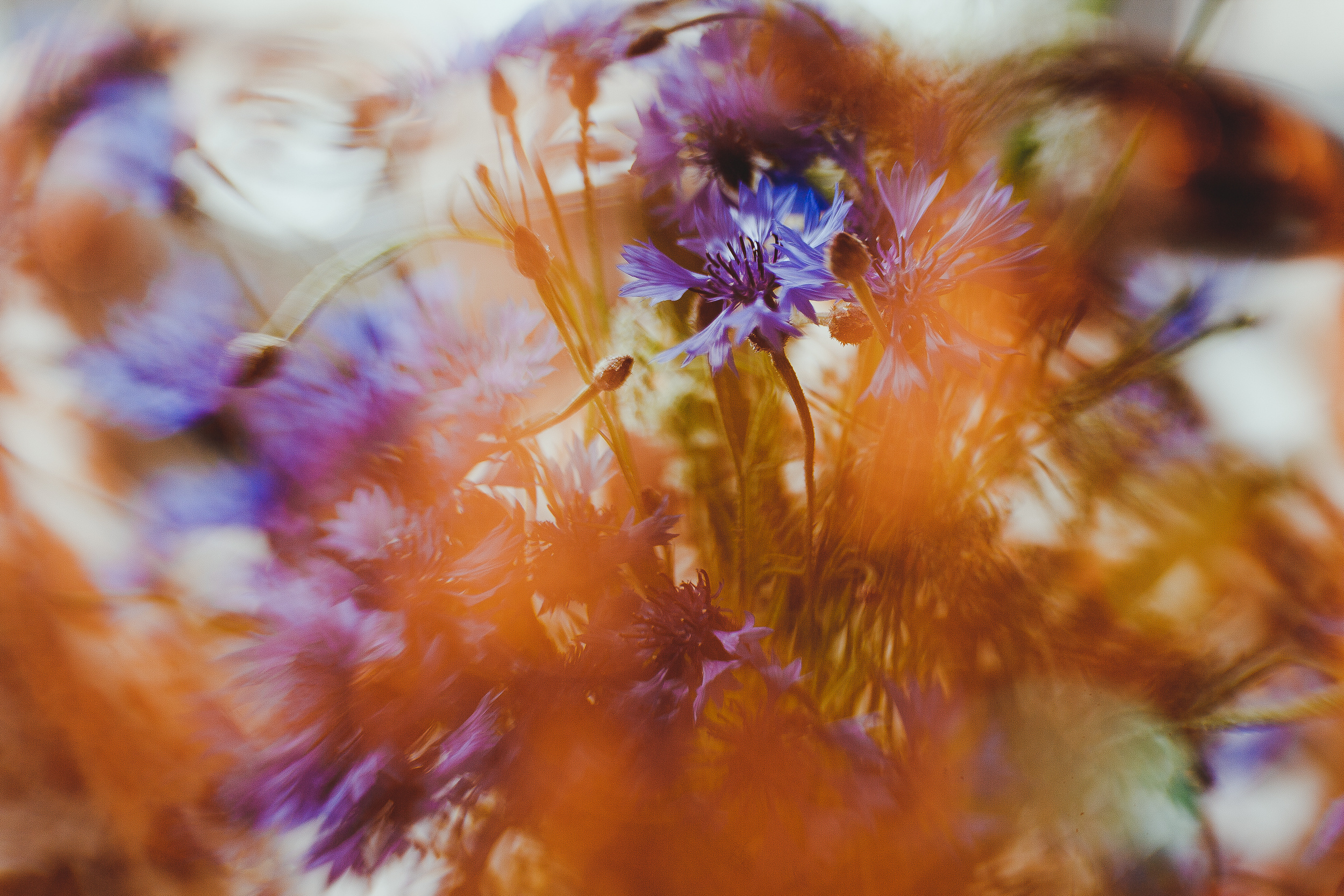 ВаняТаня. Фотограф Мария Немм