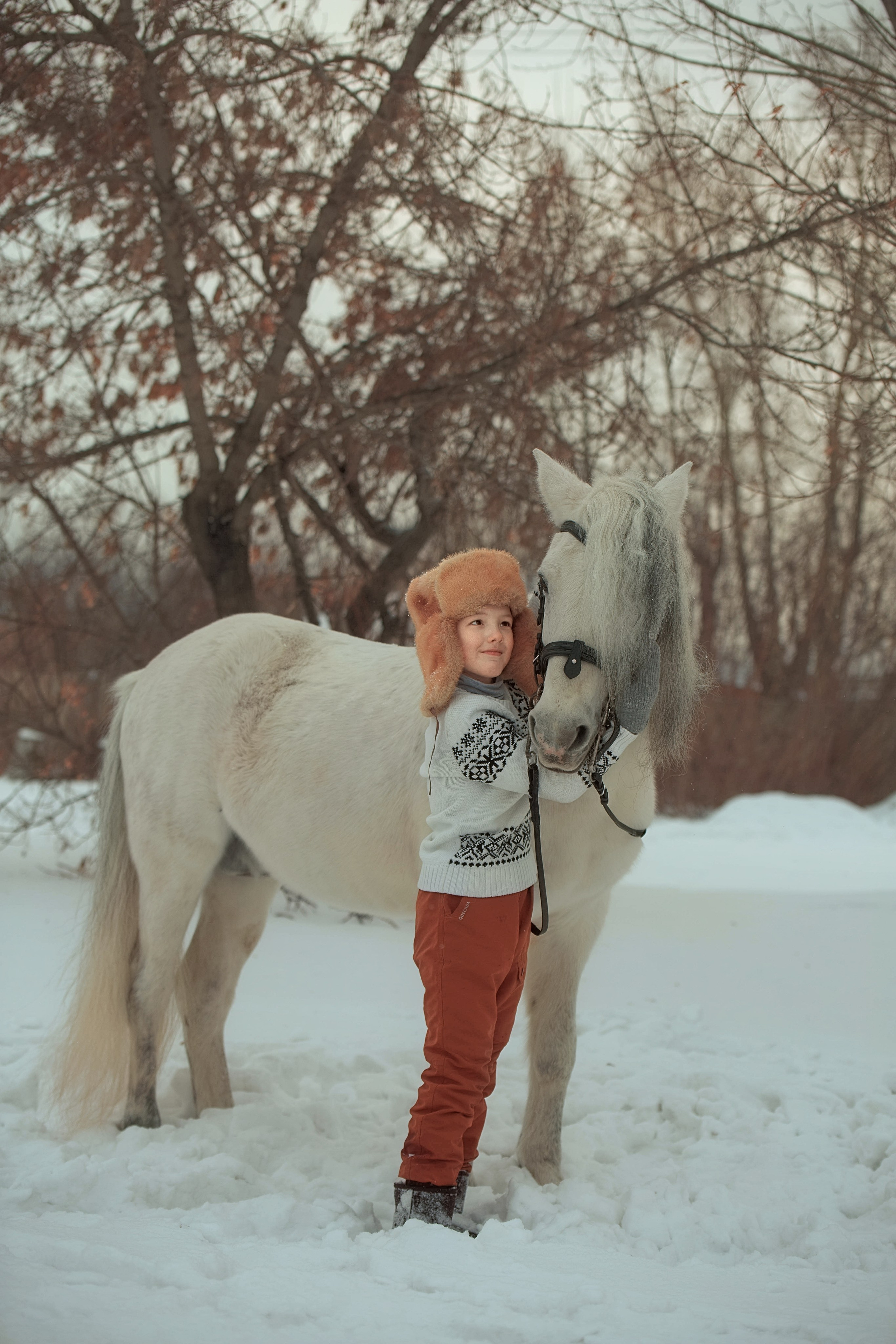 КрылатыйПони. Конный фотограф в Красноярске — Любовь Похабова