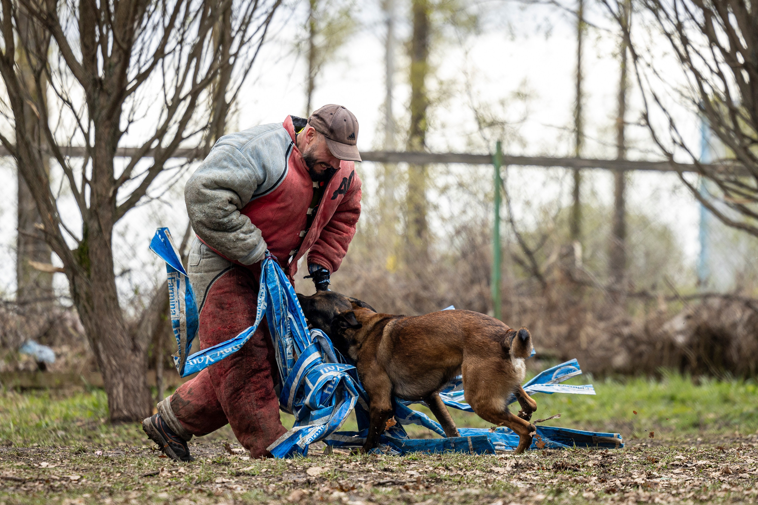 Квалификационные состязания по мондьорингу г. Вологда 11.05.24. Фотограф-анималист Анна Маринич