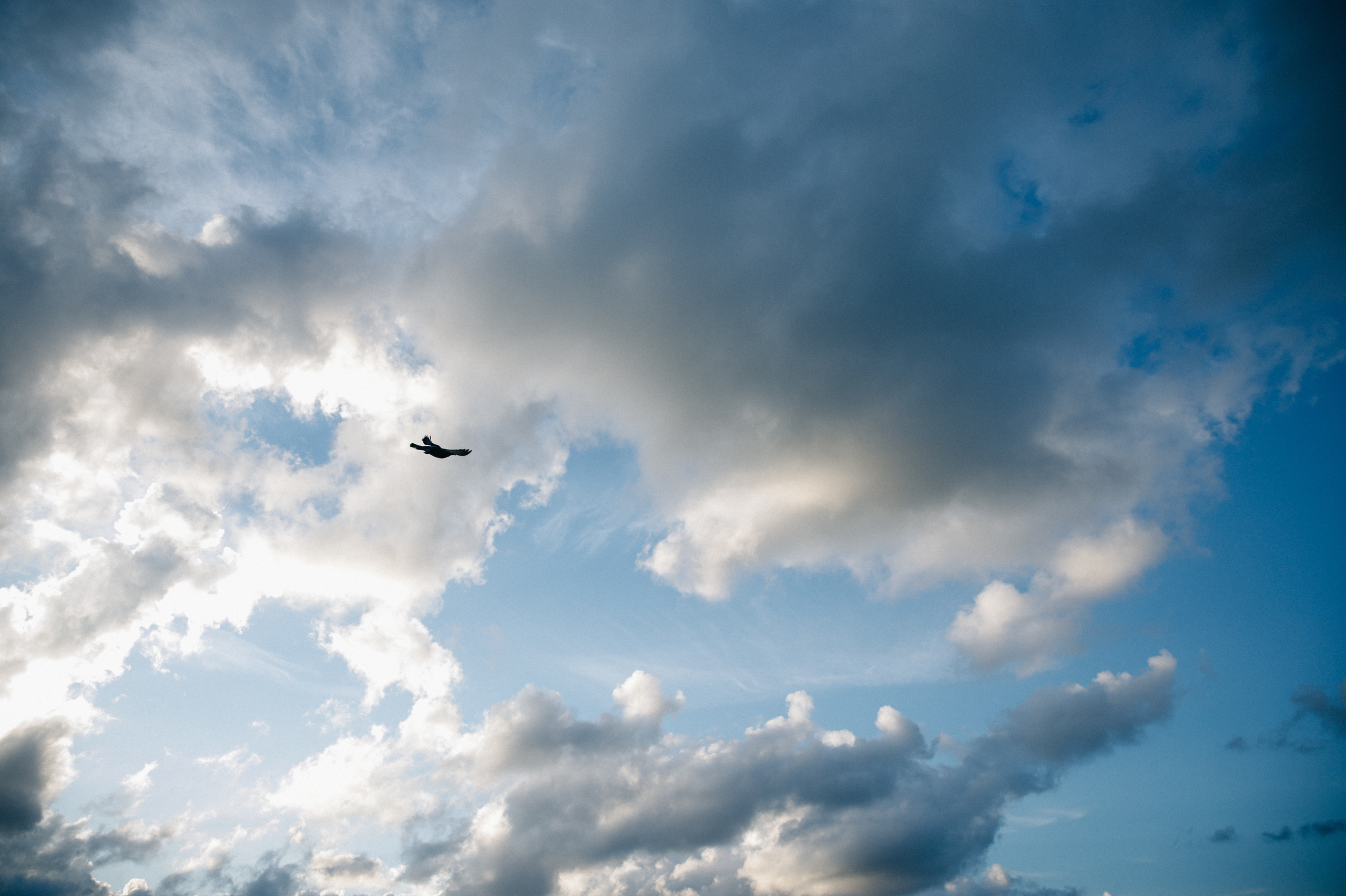 Novorossiysk 2020. Фотограф Максим Маркелов