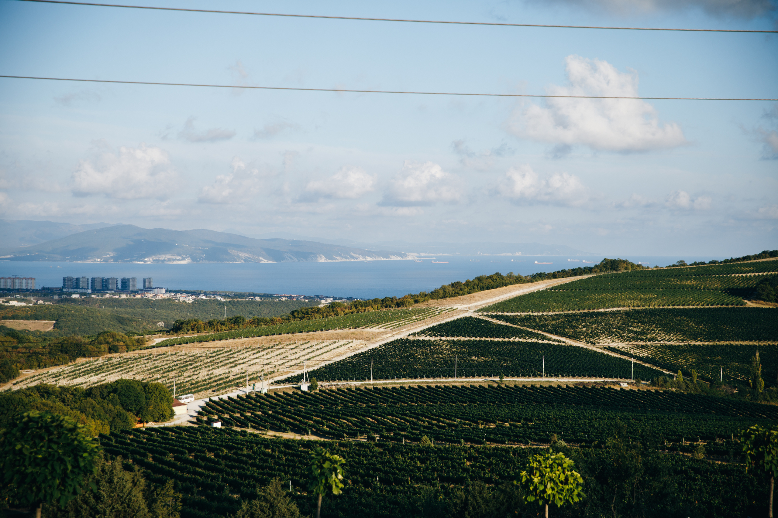 Novorossiysk 2020. Фотограф Максим Маркелов