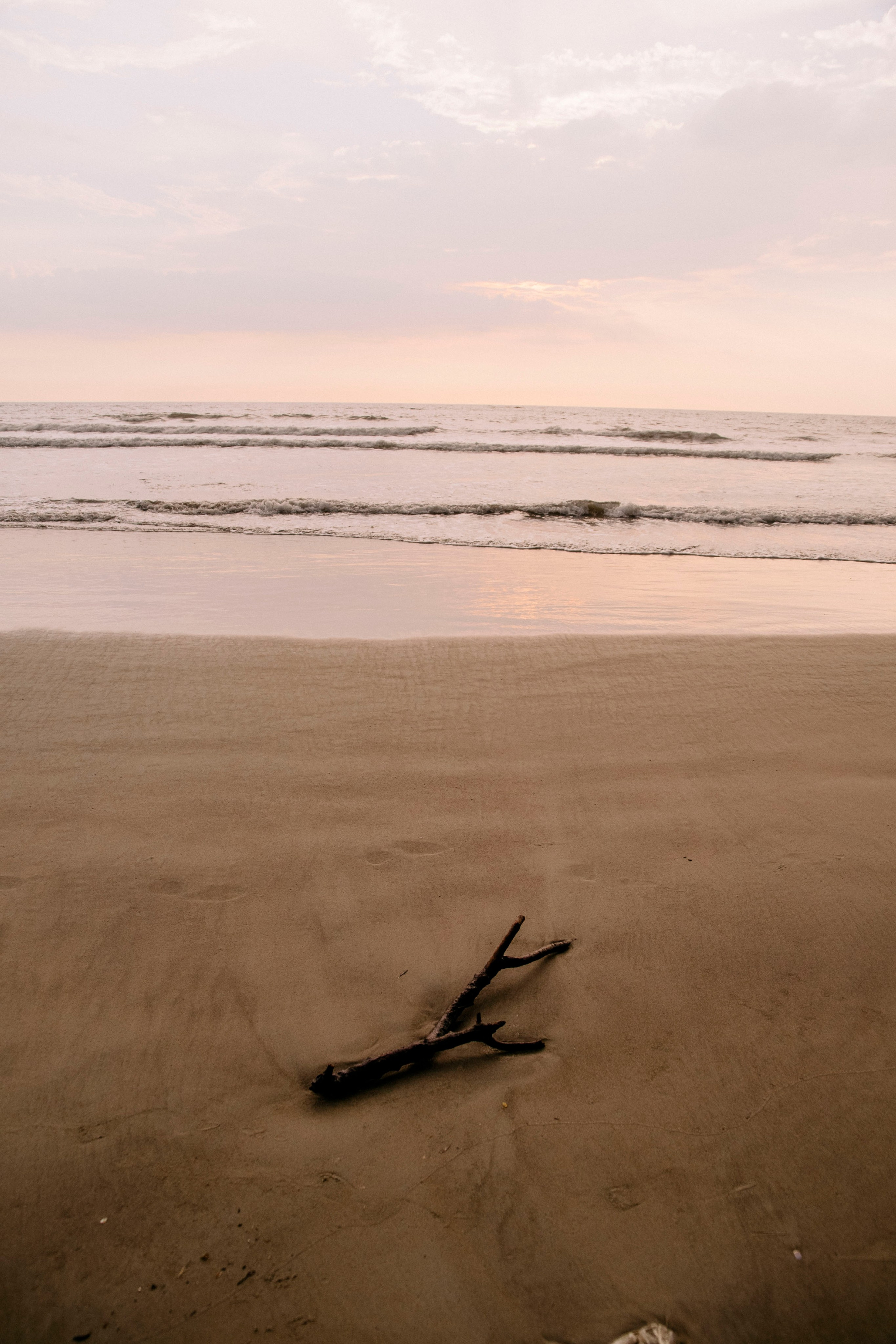 Гоа. индия. Iraogo